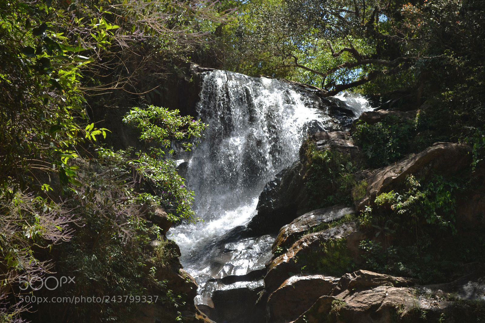 Nikon D3100 sample photo. Dream fall photography