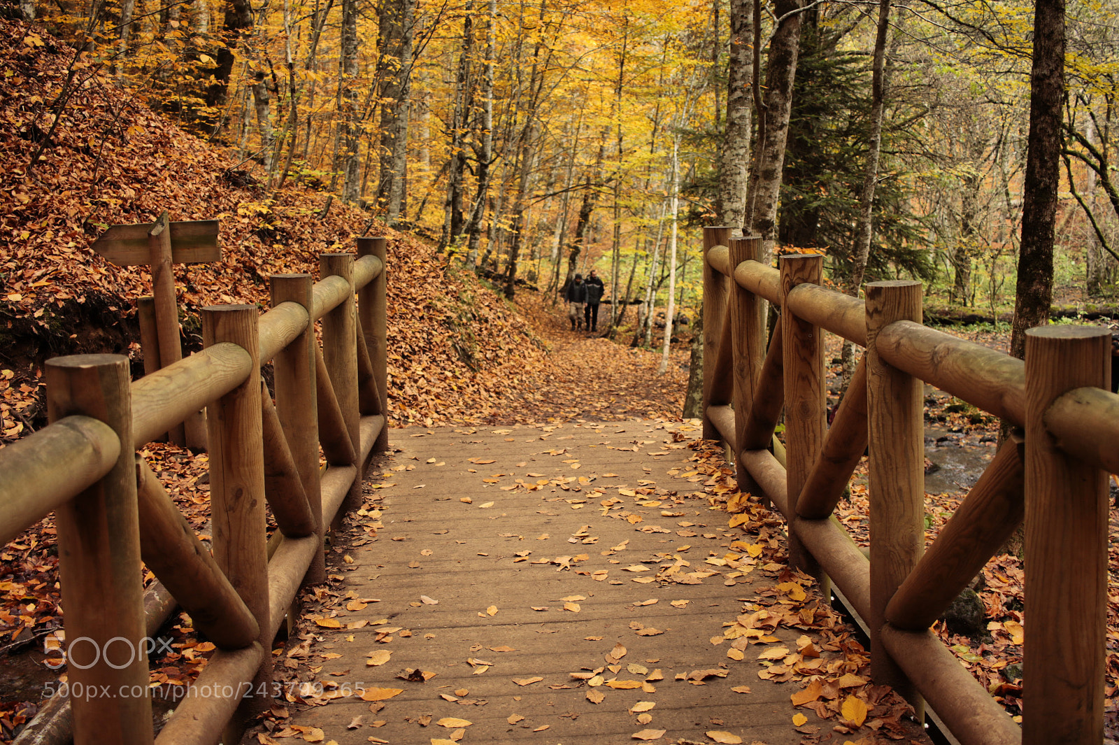 Canon EOS 7D Mark II sample photo. Untitled photography