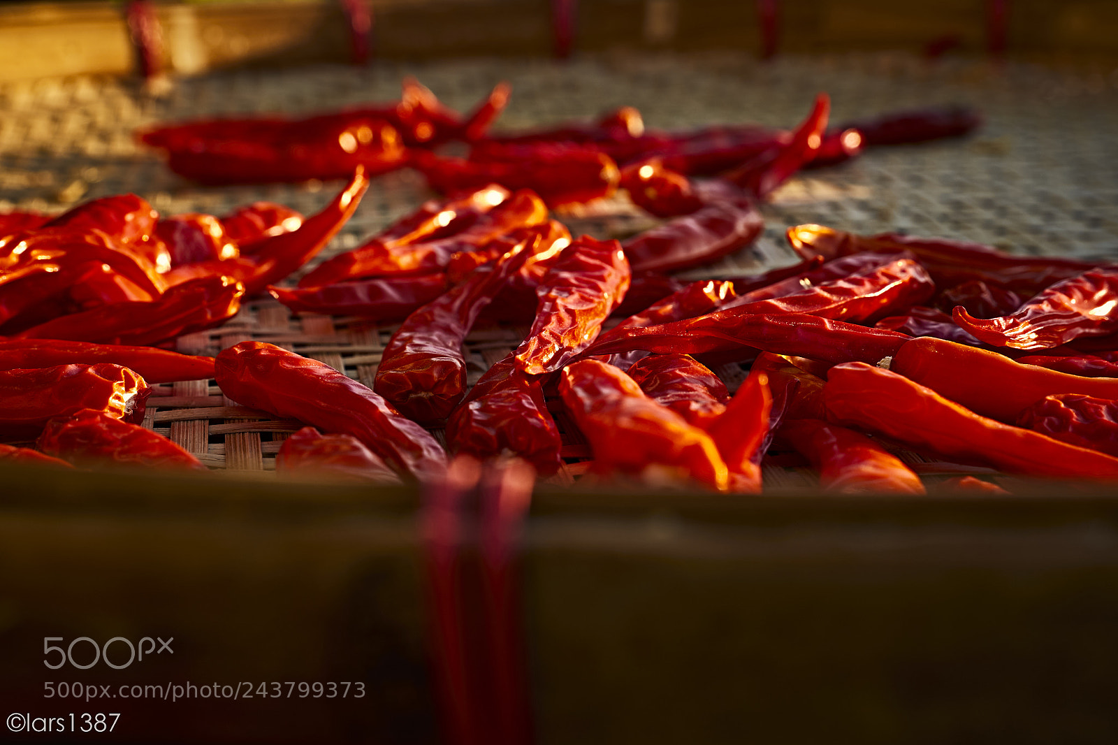 Fujifilm X-T1 sample photo. Drying chili - ii photography