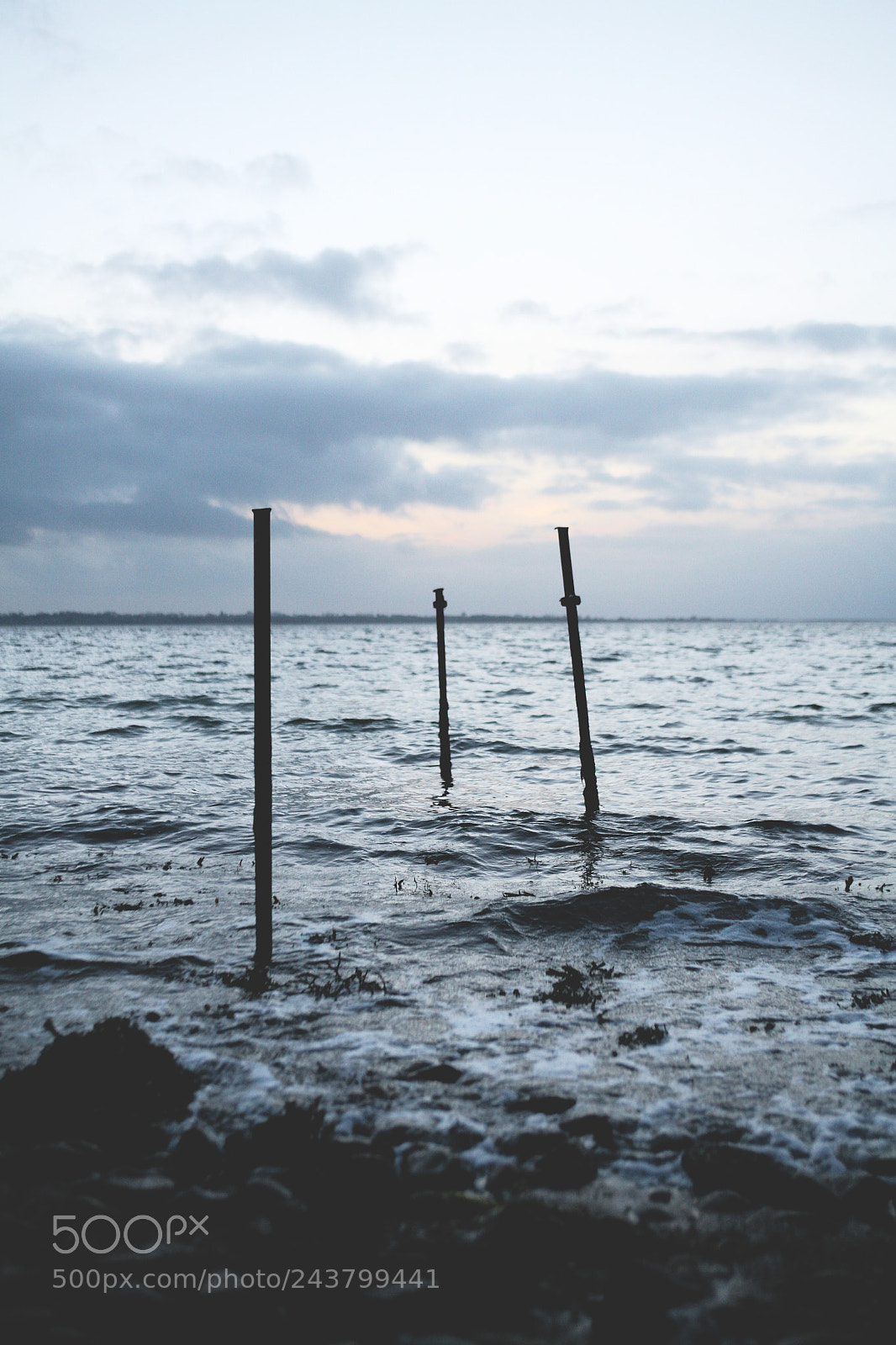 Canon EOS 5D sample photo. Give me three sticks photography