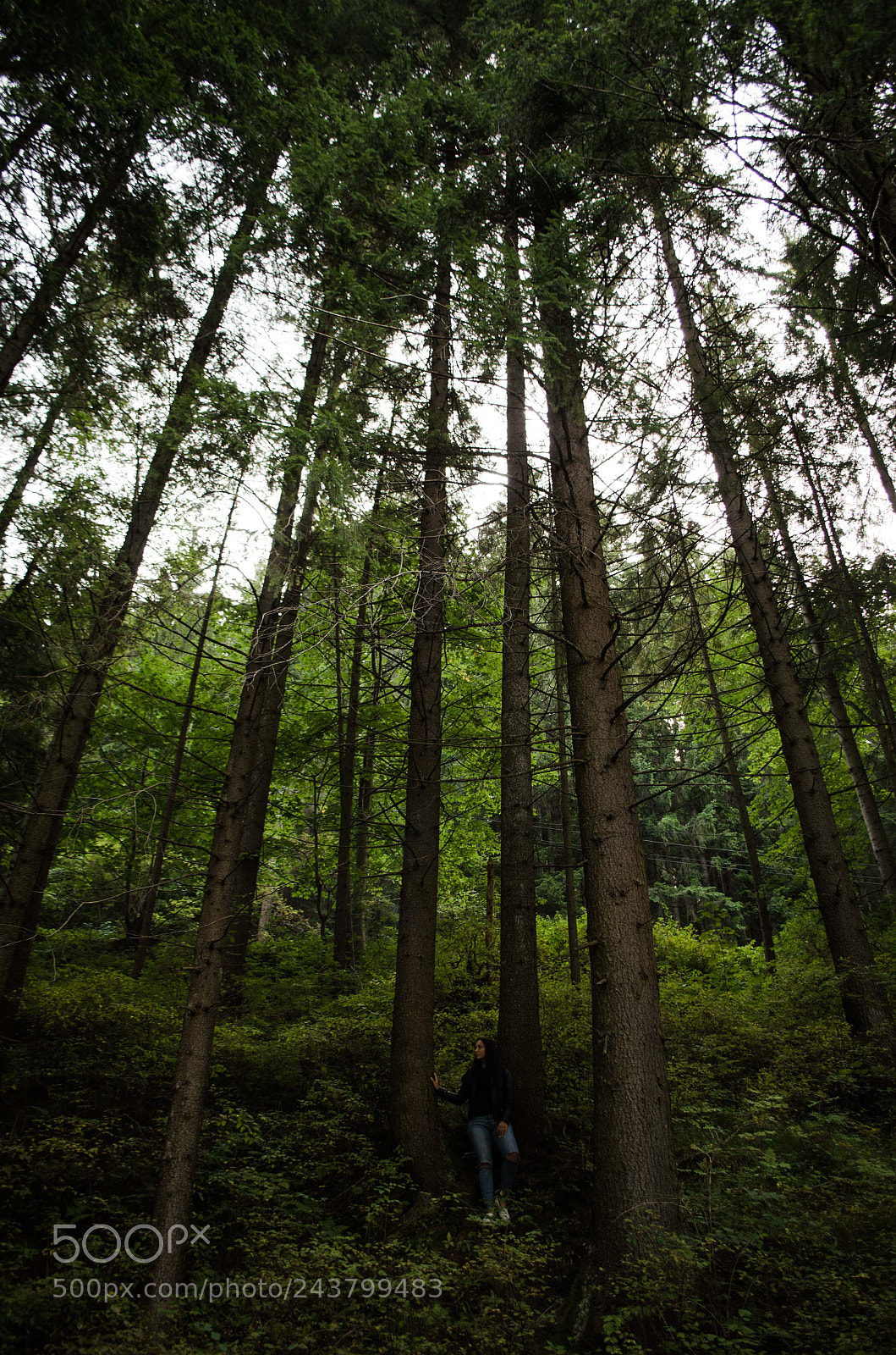 Nikon D5100 sample photo. In the deep photography