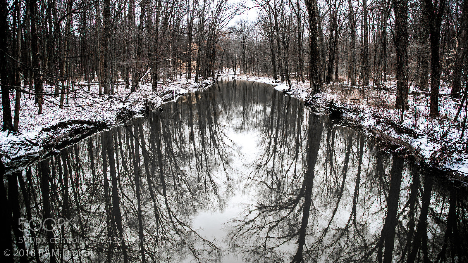 Canon EOS-1D X Mark II sample photo. Upside down world photography