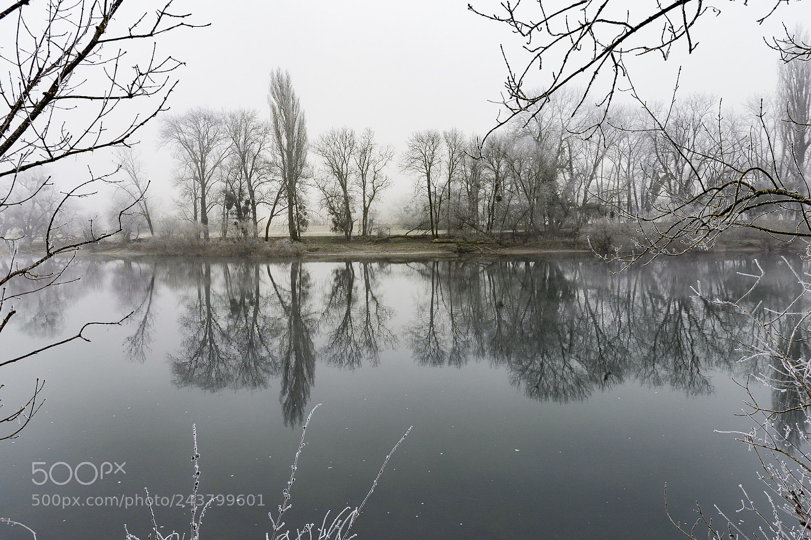 Nikon D7200 sample photo. Untitled photography