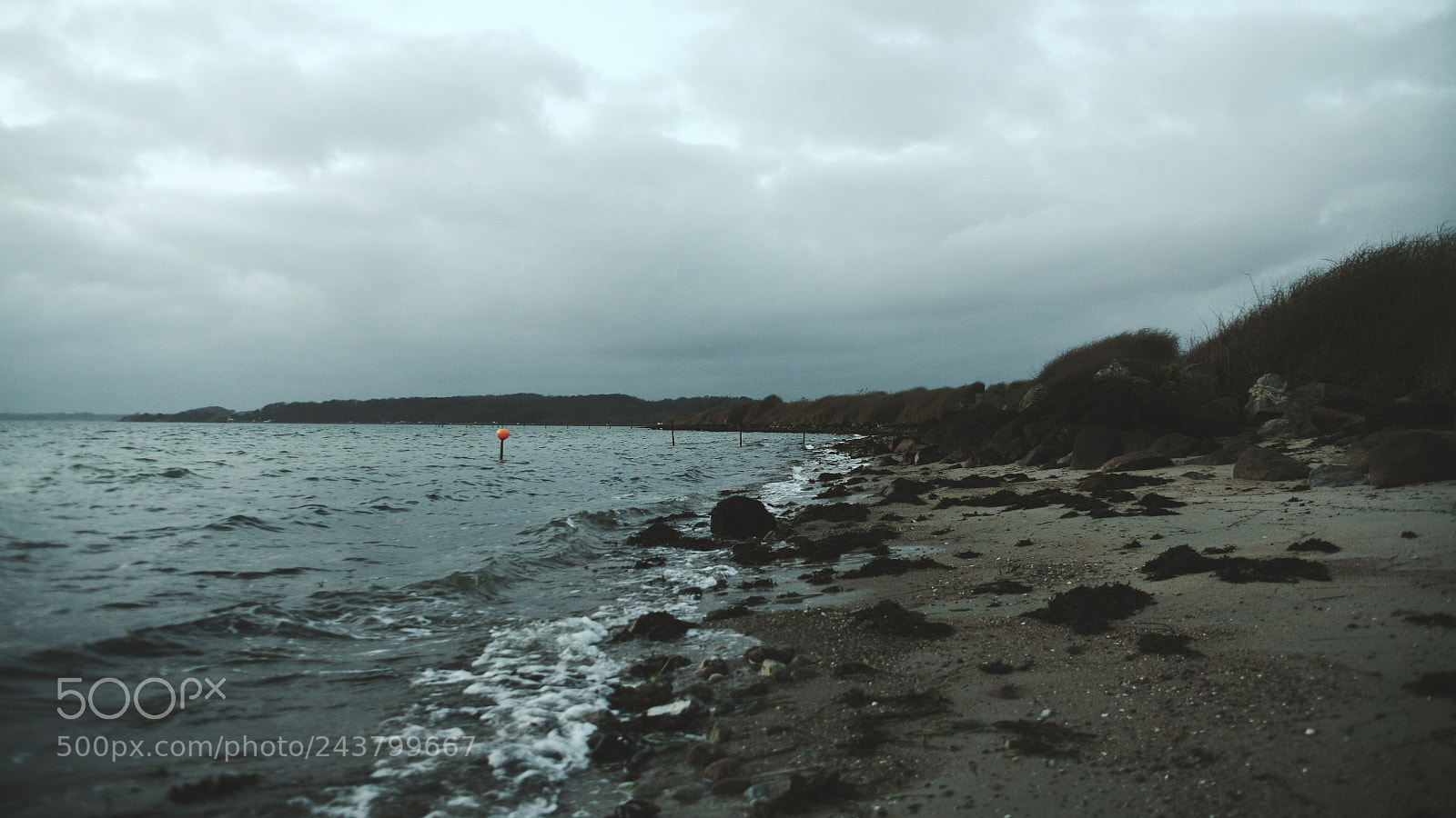 Canon EOS 5D sample photo. Go for a swim photography