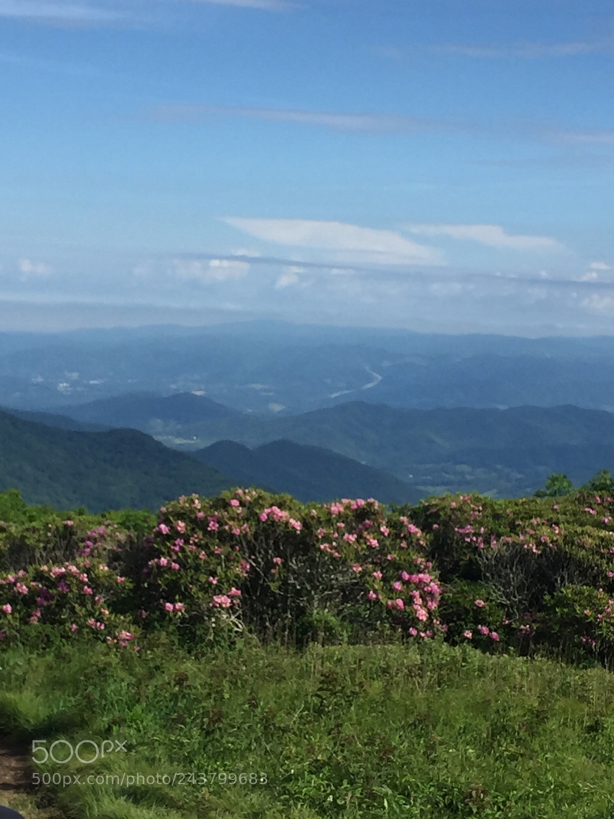 Apple iPhone 6 sample photo. Asheville, north carolina photography
