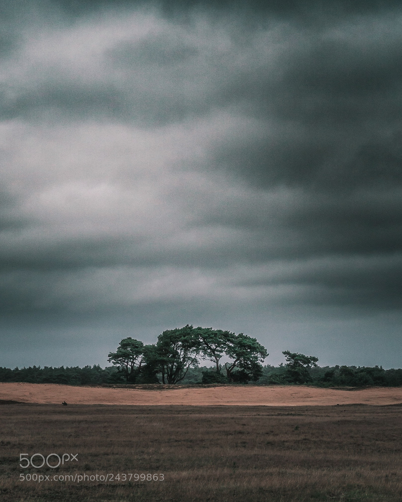 Olympus OM-D E-M10 II sample photo. Gloomy day at the photography