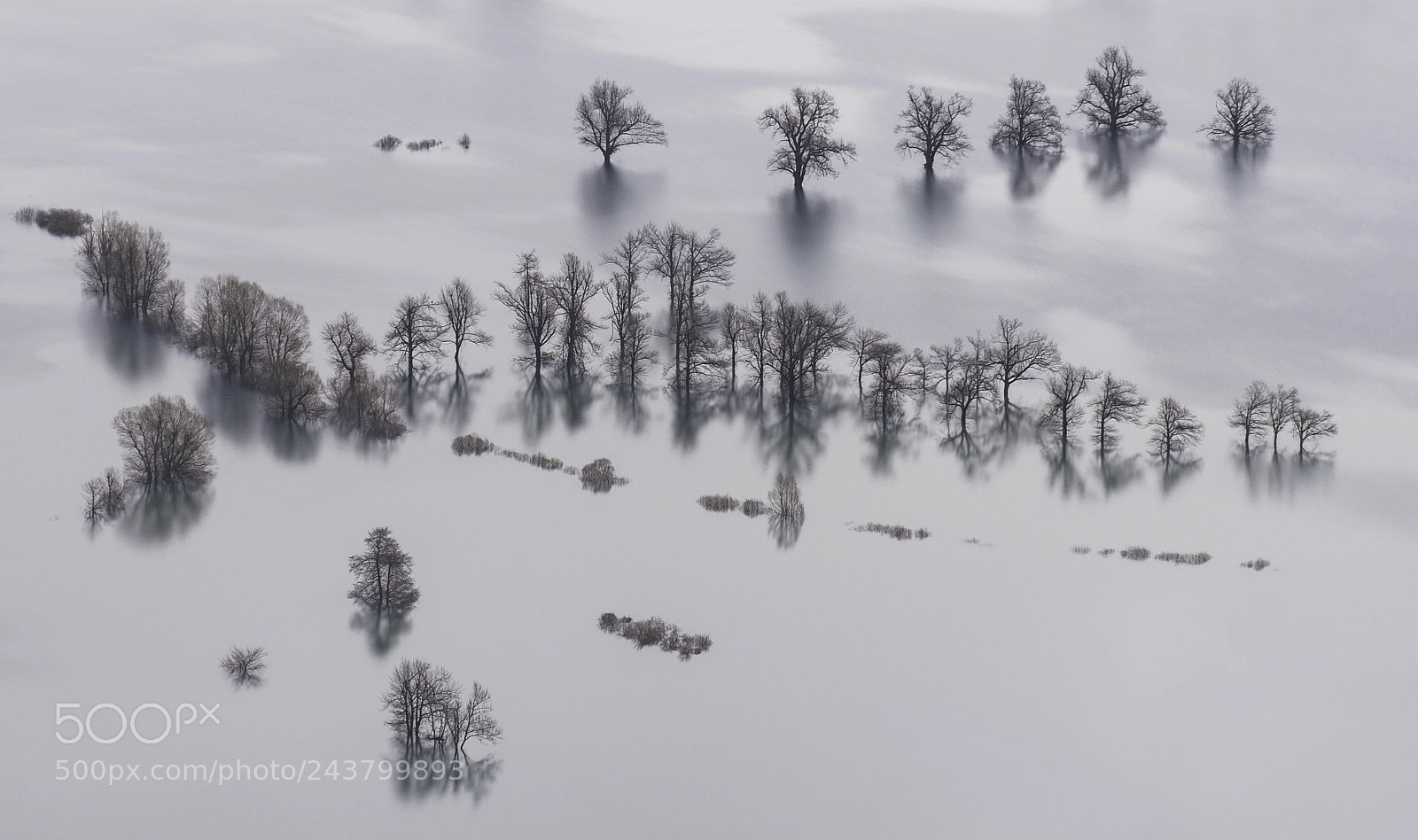 Nikon D7200 sample photo. Poplavljeno planinsko polje photography