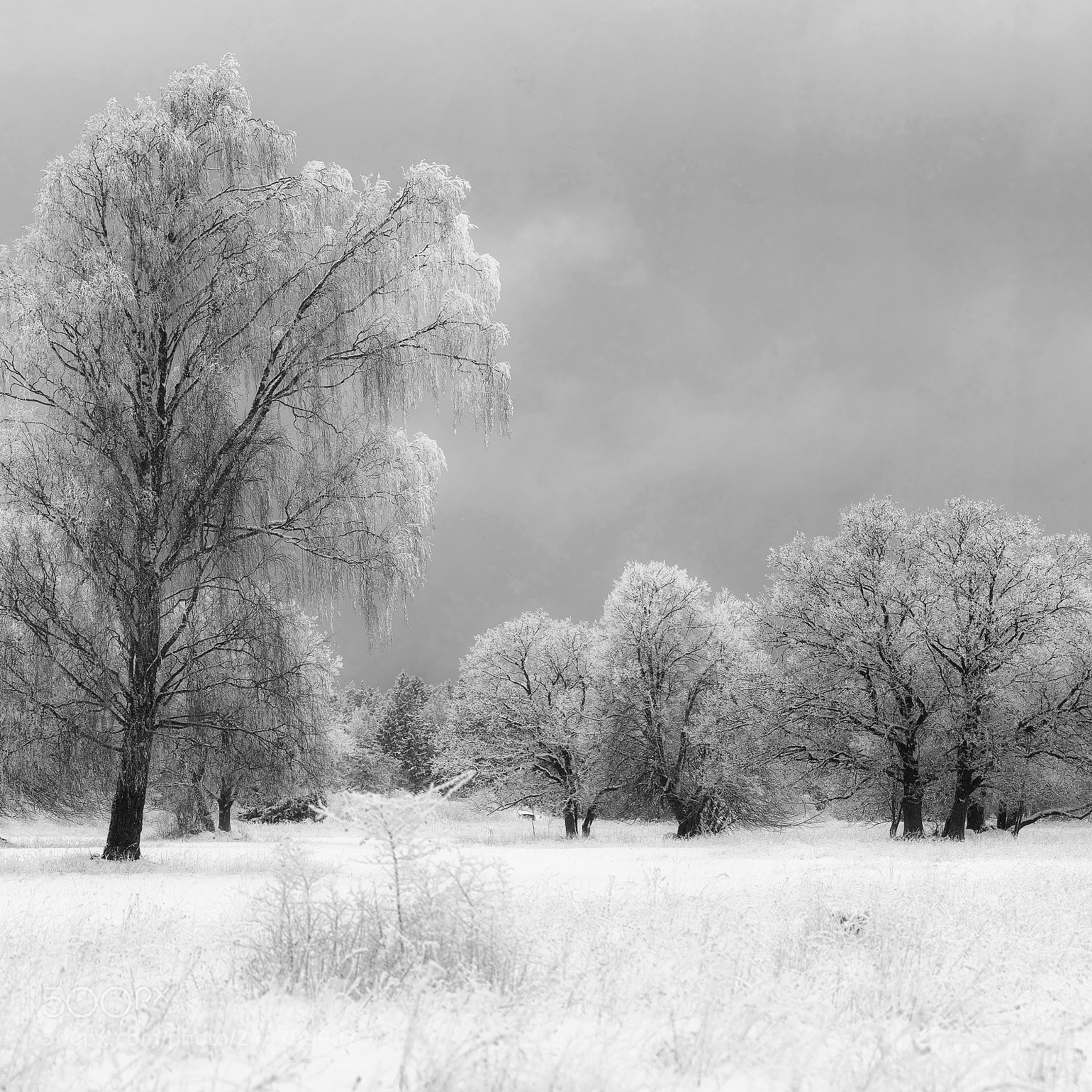 Nikon D500 sample photo. Blue and white photography