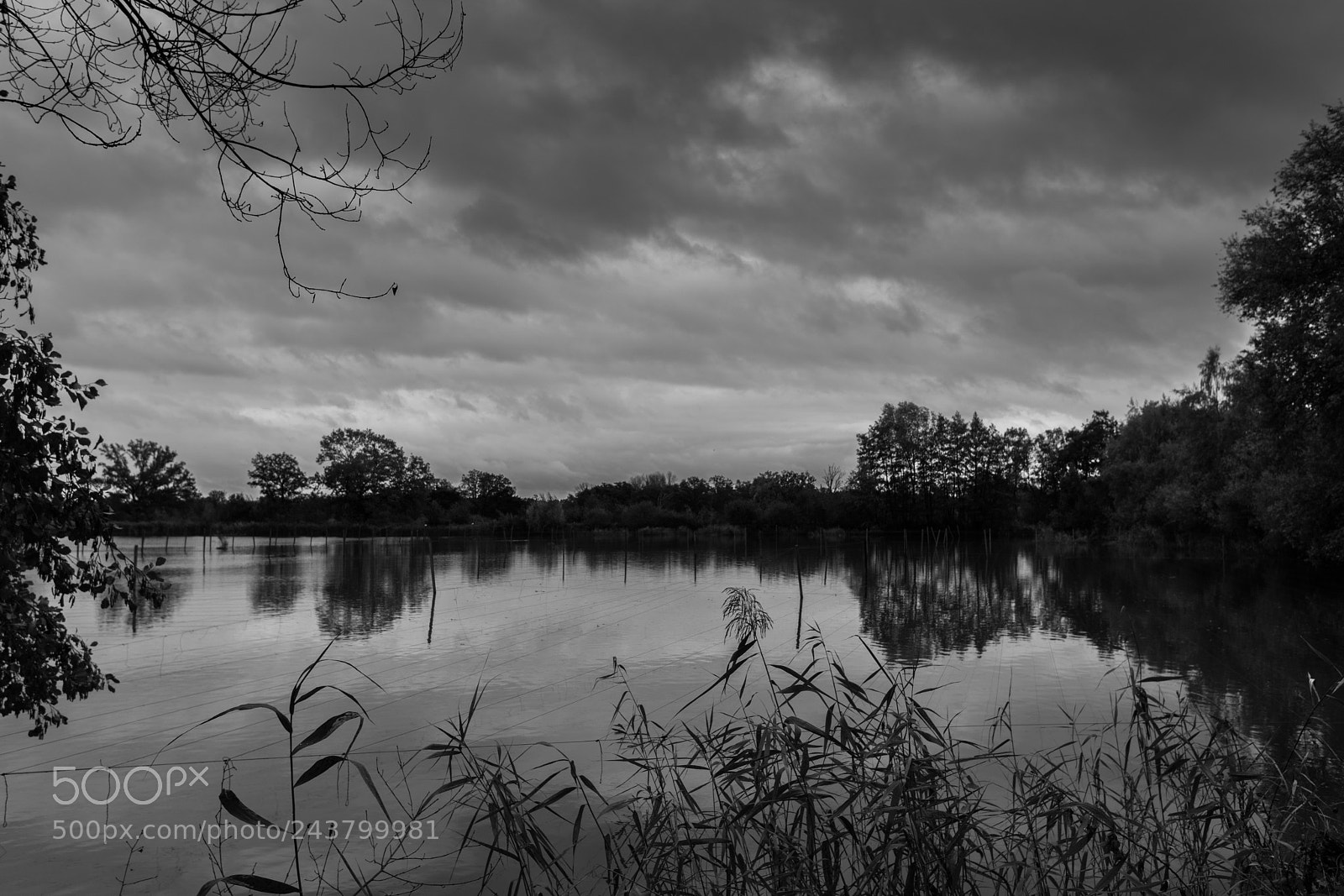 Sony a6300 sample photo. Dark pond. photography