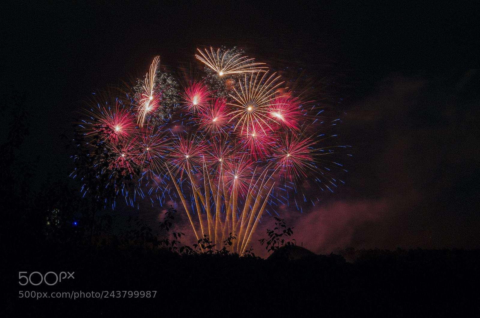Pentax K-50 sample photo. [sssshbwoom] photography