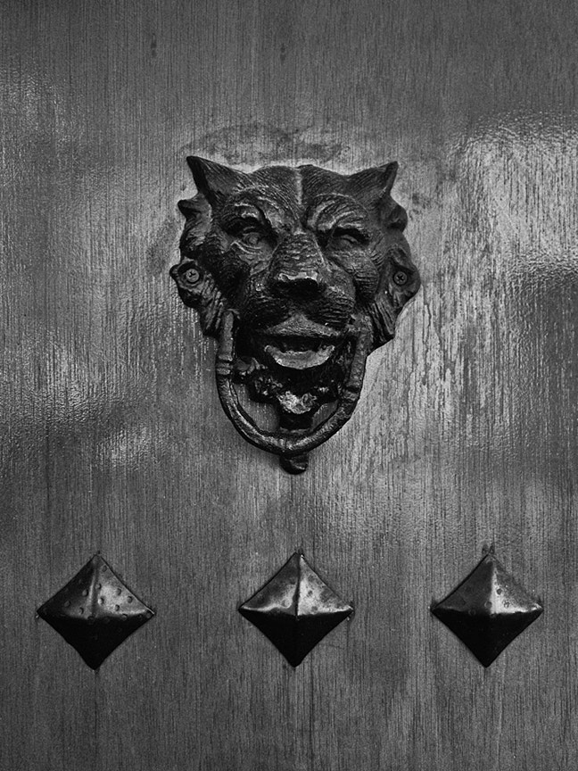 Canon PowerShot A3300 IS sample photo. Llamador de la puerta - leon negro 1 (door knocker - black lion photography