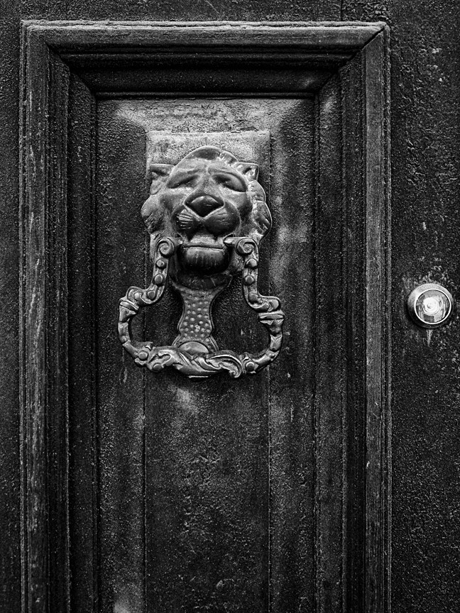 Canon PowerShot A3300 IS sample photo. Llamador de la puerta - leon -polvo (door knocker - gold lion - photography
