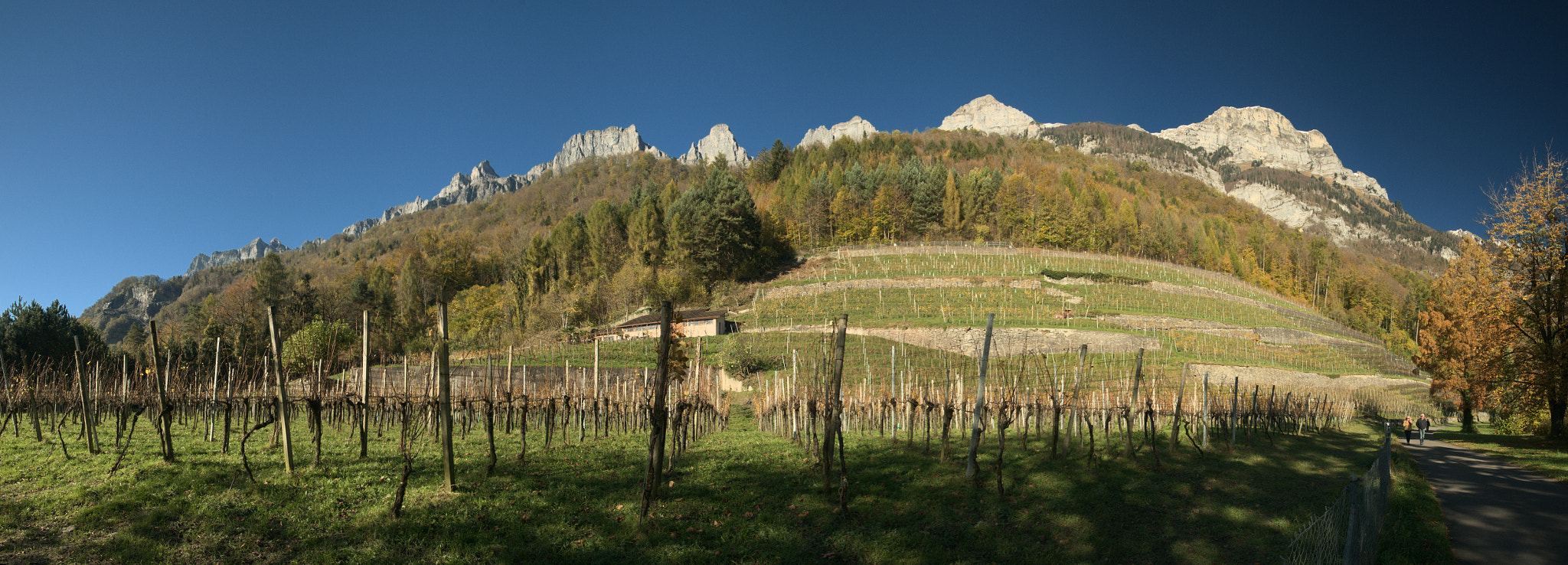 Nikon D300 sample photo. No more wine photography