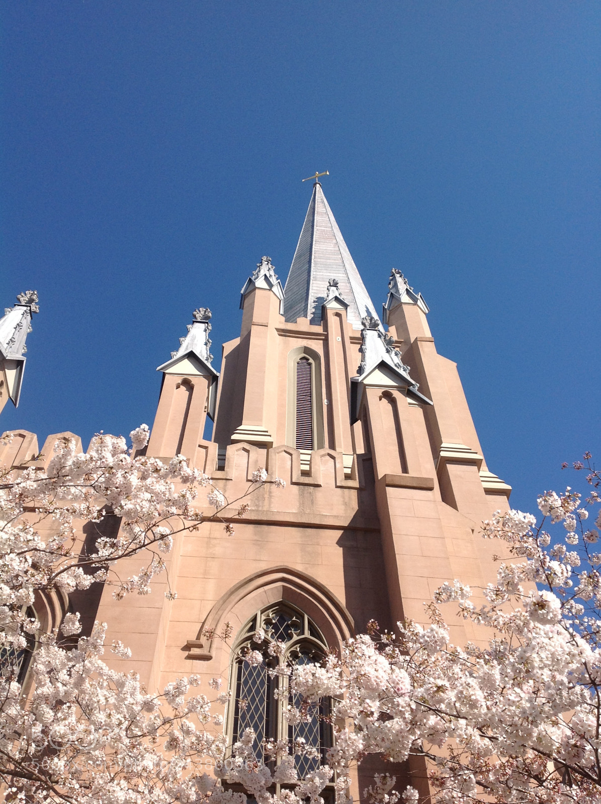 Apple iPad sample photo. Freemason first baptist church photography
