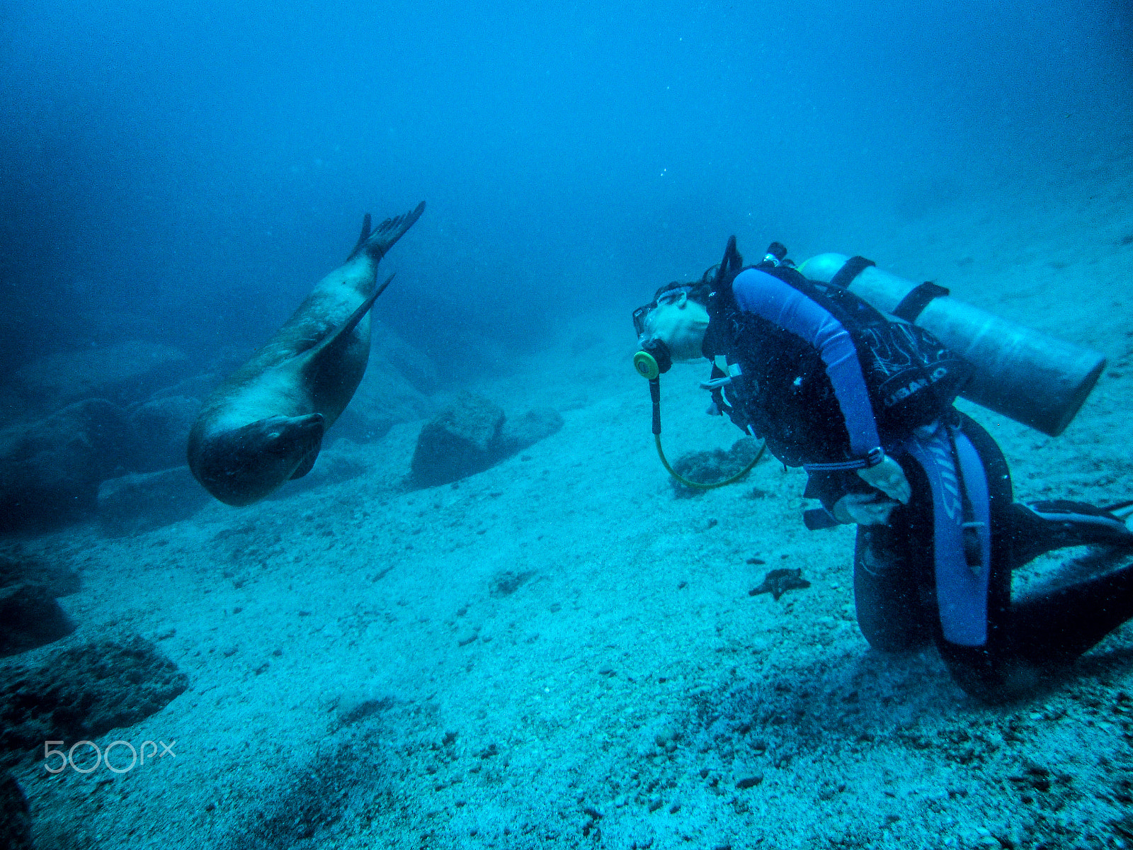 Nikon Coolpix S3100 sample photo. Women and seal in la paz mexico photography