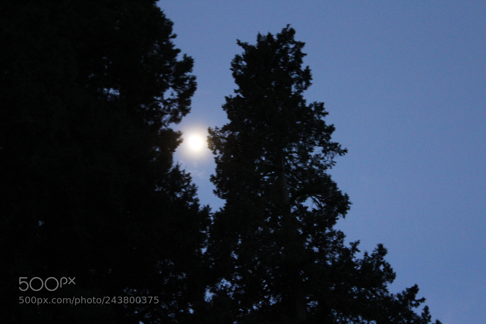Canon EOS 1300D (EOS Rebel T6 / EOS Kiss X80) sample photo. Night photography