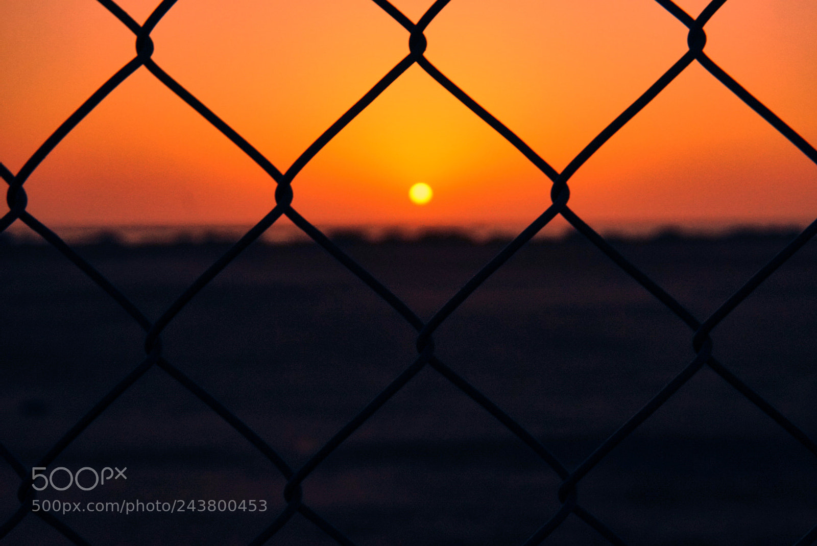 Sony a6500 sample photo. S u n s photography