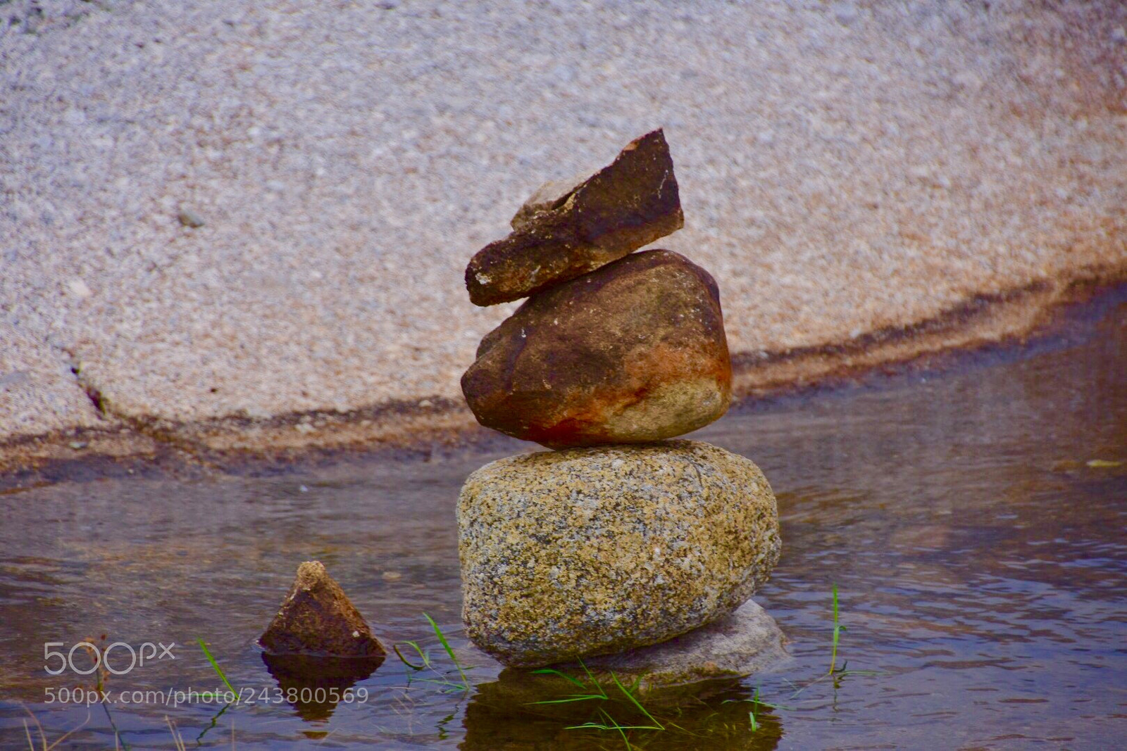 Nikon D7200 sample photo. Untitled photography