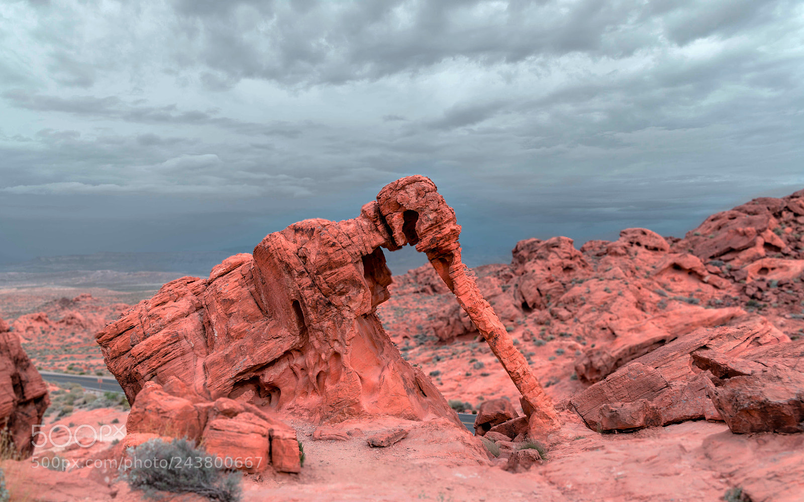Nikon D800 sample photo. Elephant rock photography