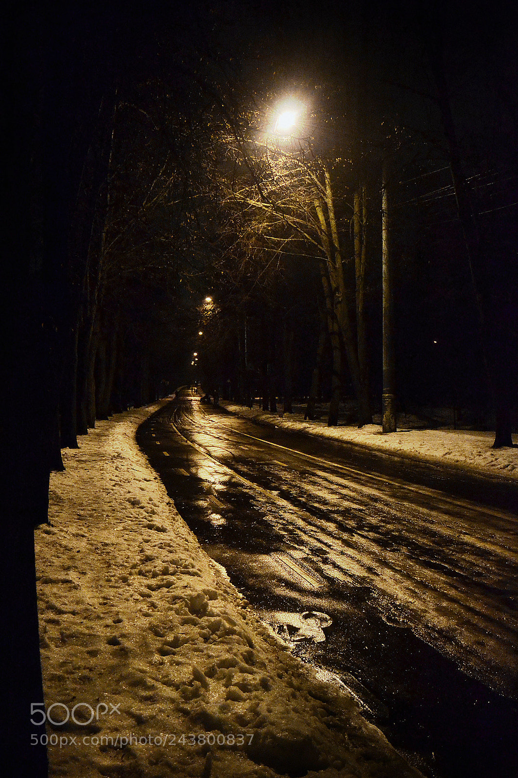 Nikon D3100 sample photo. Dark alley photography
