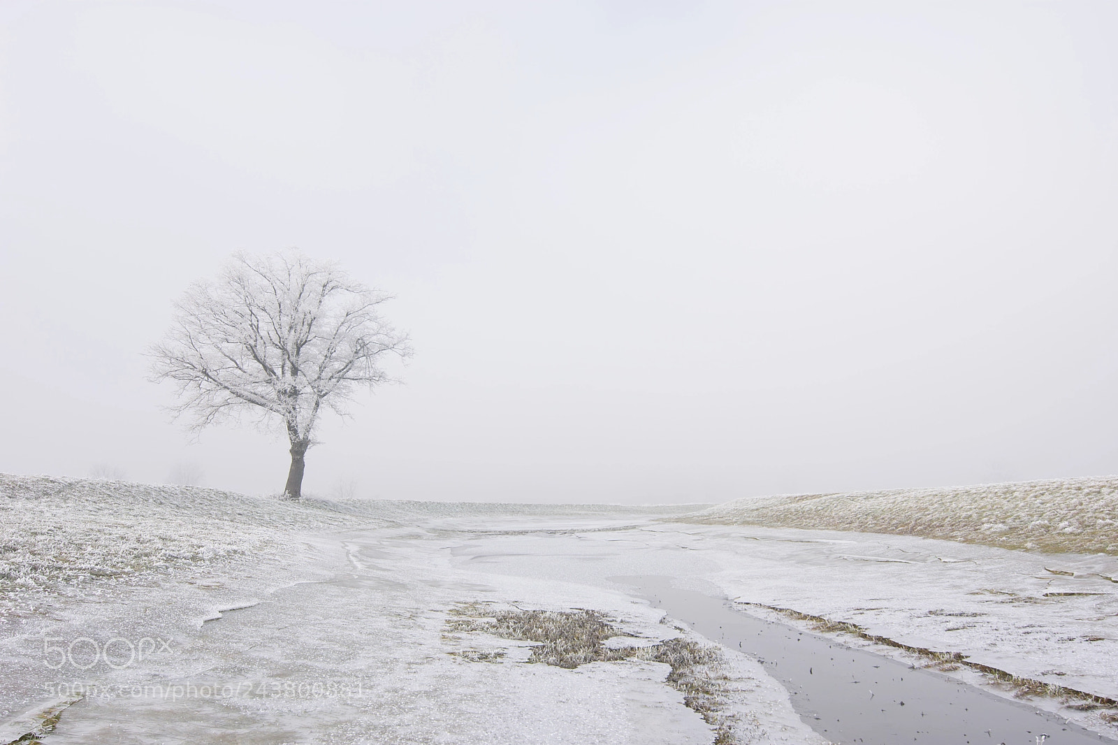 Nikon D7200 sample photo. Megla na ljubljanskem barju photography