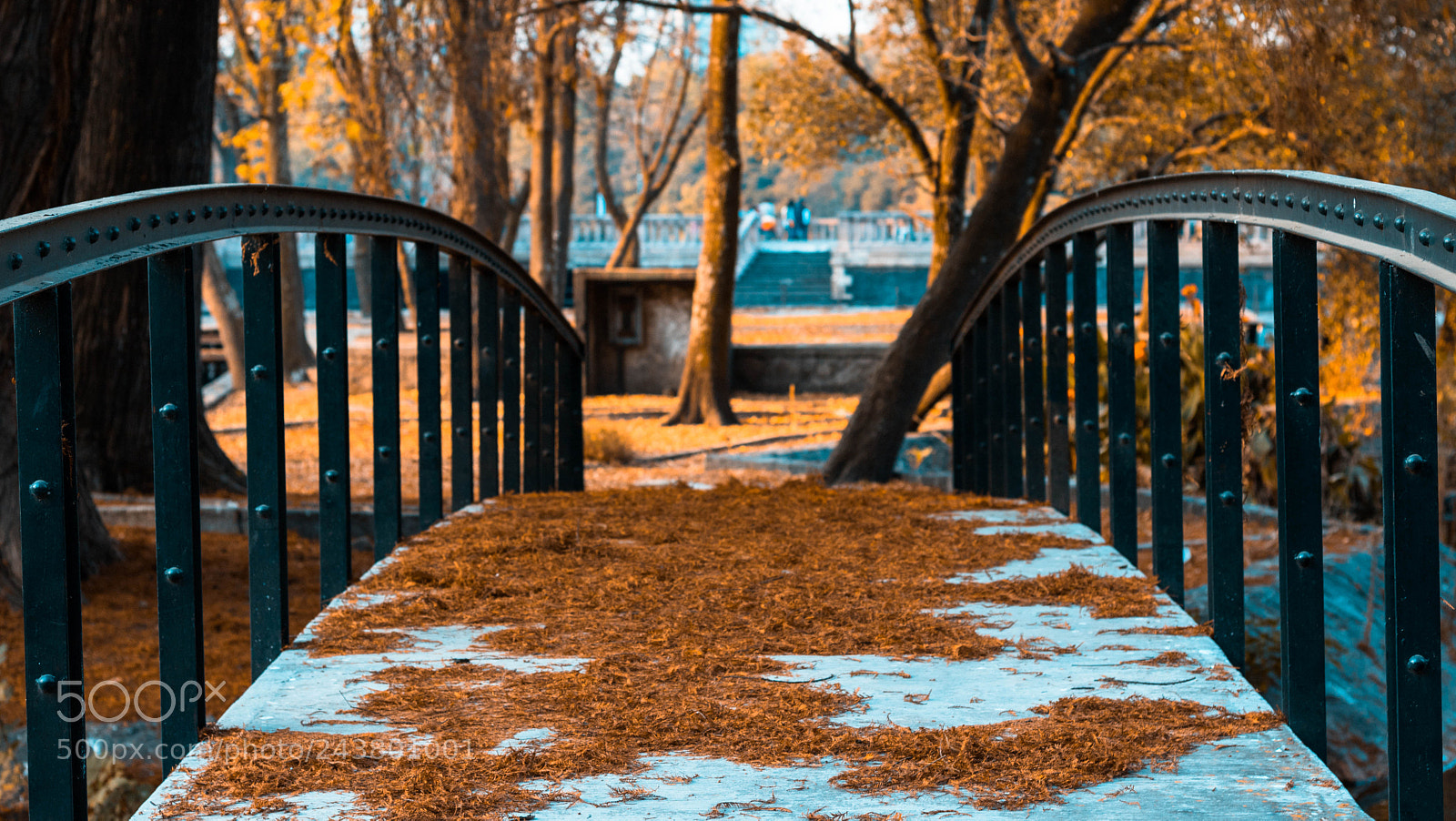 Canon EOS 750D (EOS Rebel T6i / EOS Kiss X8i) sample photo. Puente chapultepec photography