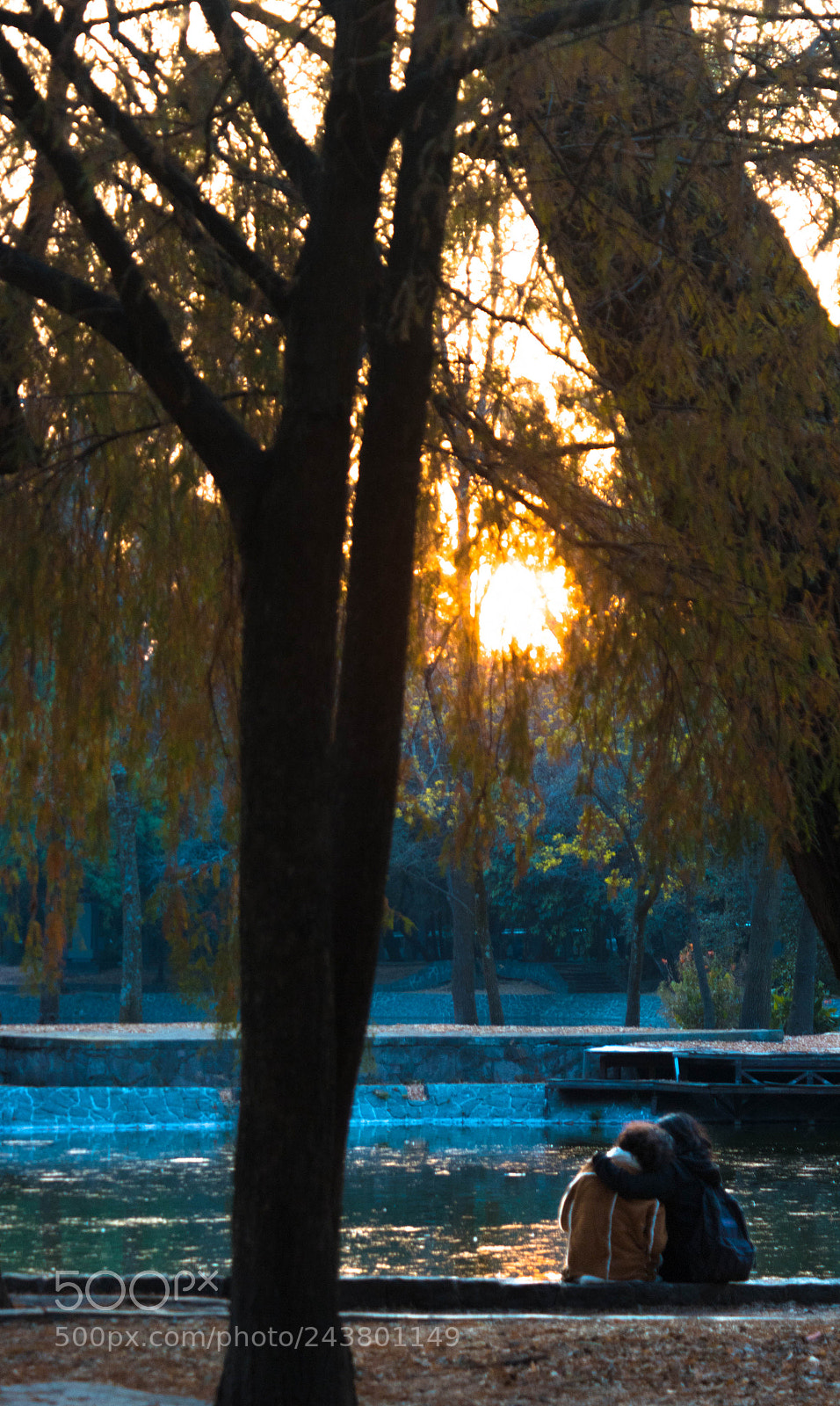 Canon EOS 750D (EOS Rebel T6i / EOS Kiss X8i) sample photo. Amor al atardecer photography