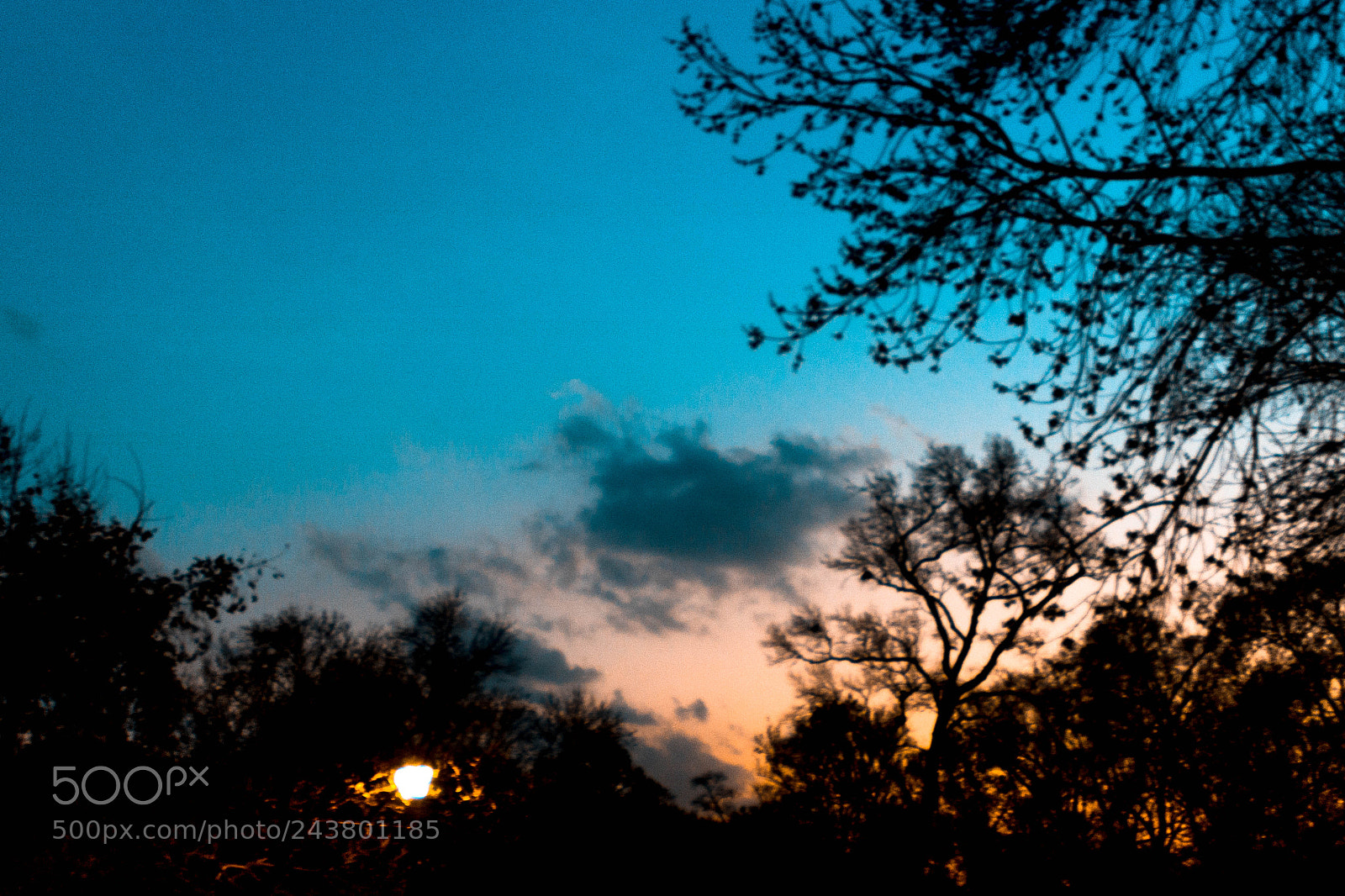 Canon EOS 750D (EOS Rebel T6i / EOS Kiss X8i) sample photo. Mexican sky photography