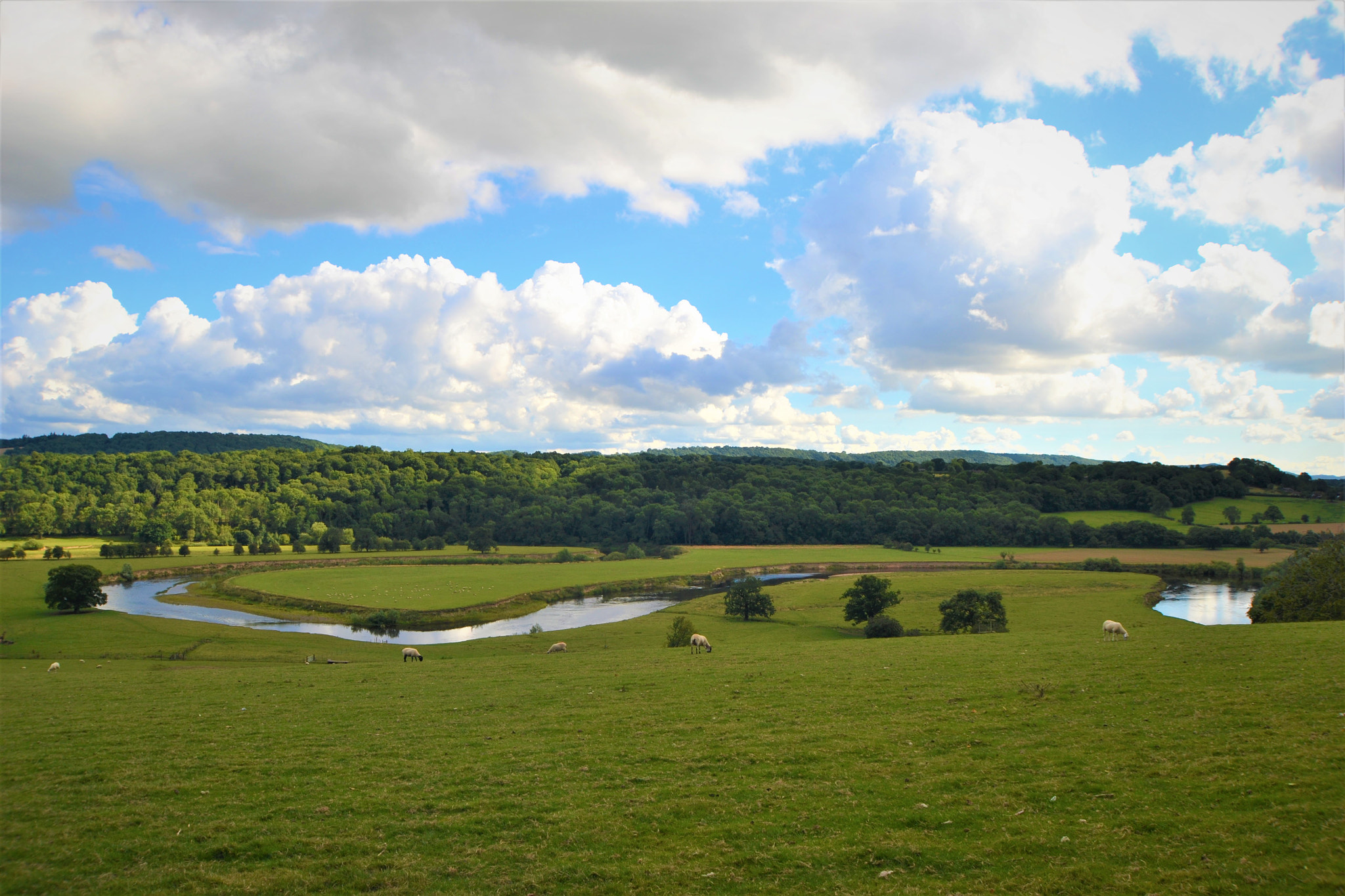 Nikon D3100 sample photo. Meandring severn photography