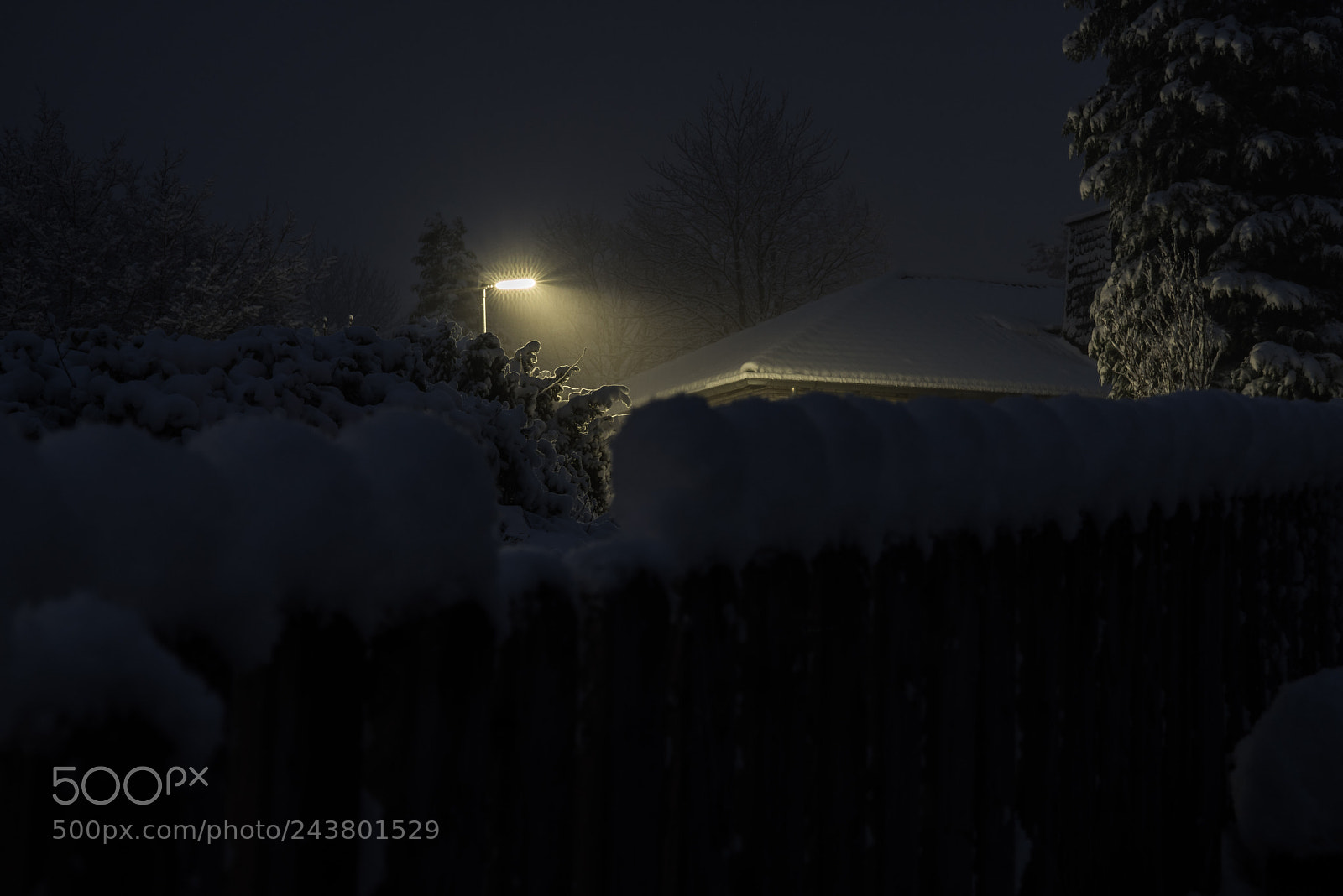 Nikon D810 sample photo. Untitled photography