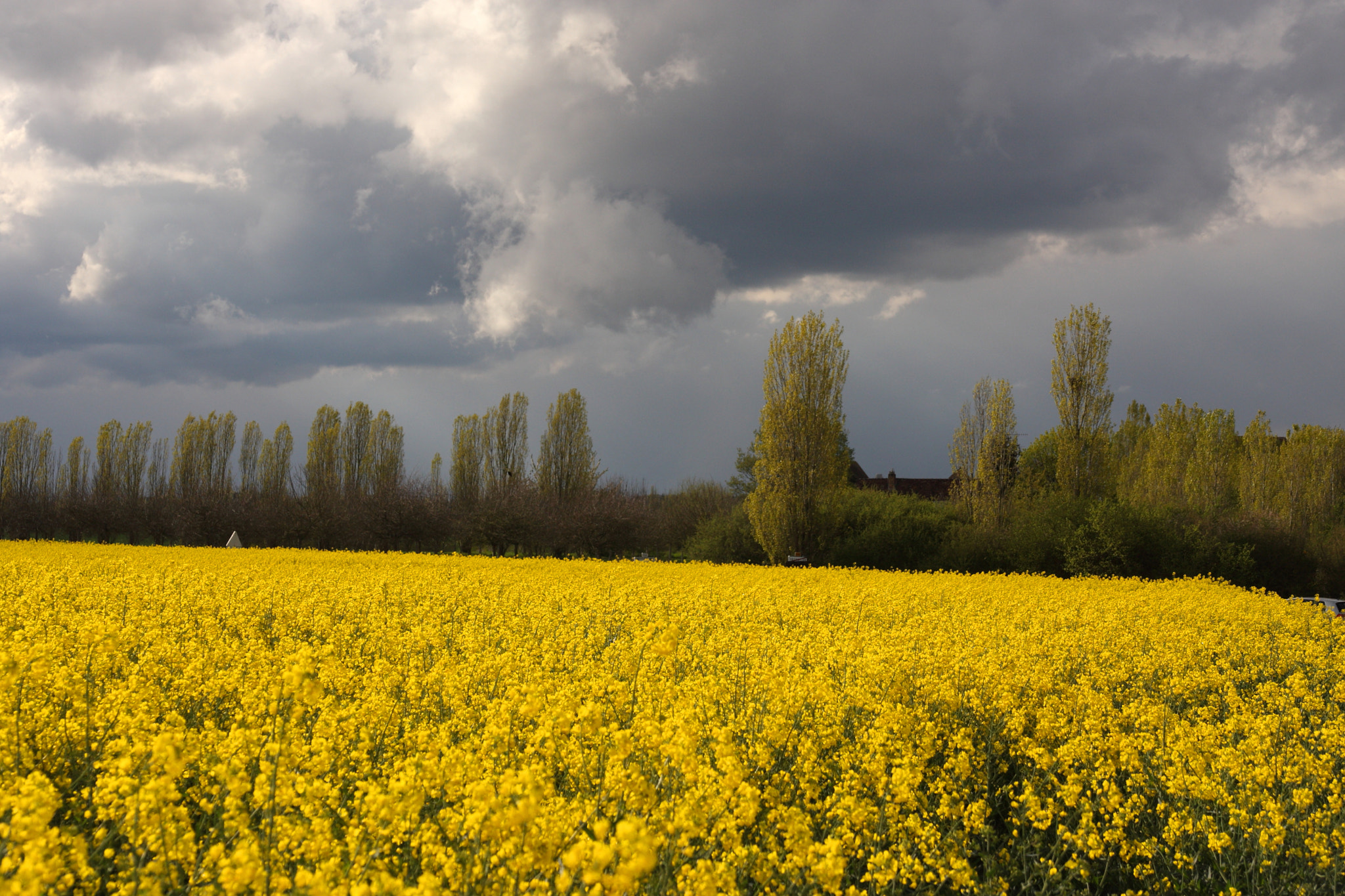 Canon 17-70mm sample photo. Storm photography