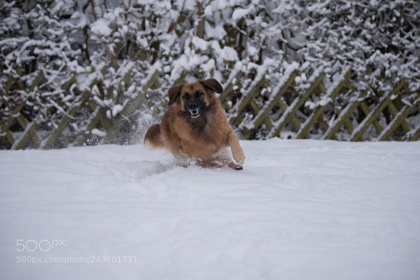 Nikon D810 sample photo. Untitled photography