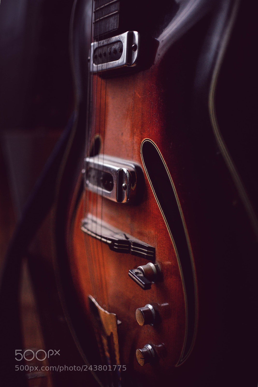 Nikon D610 sample photo. Untitled photography