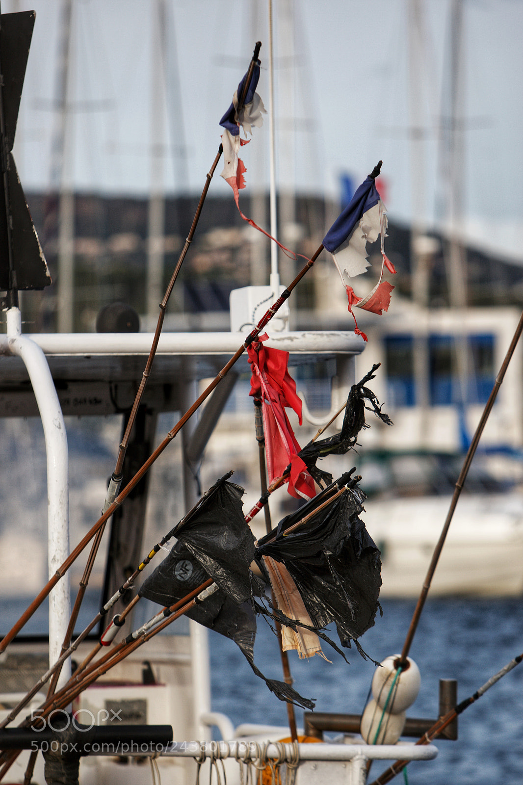 Canon EOS-1D Mark III sample photo. Flags photography