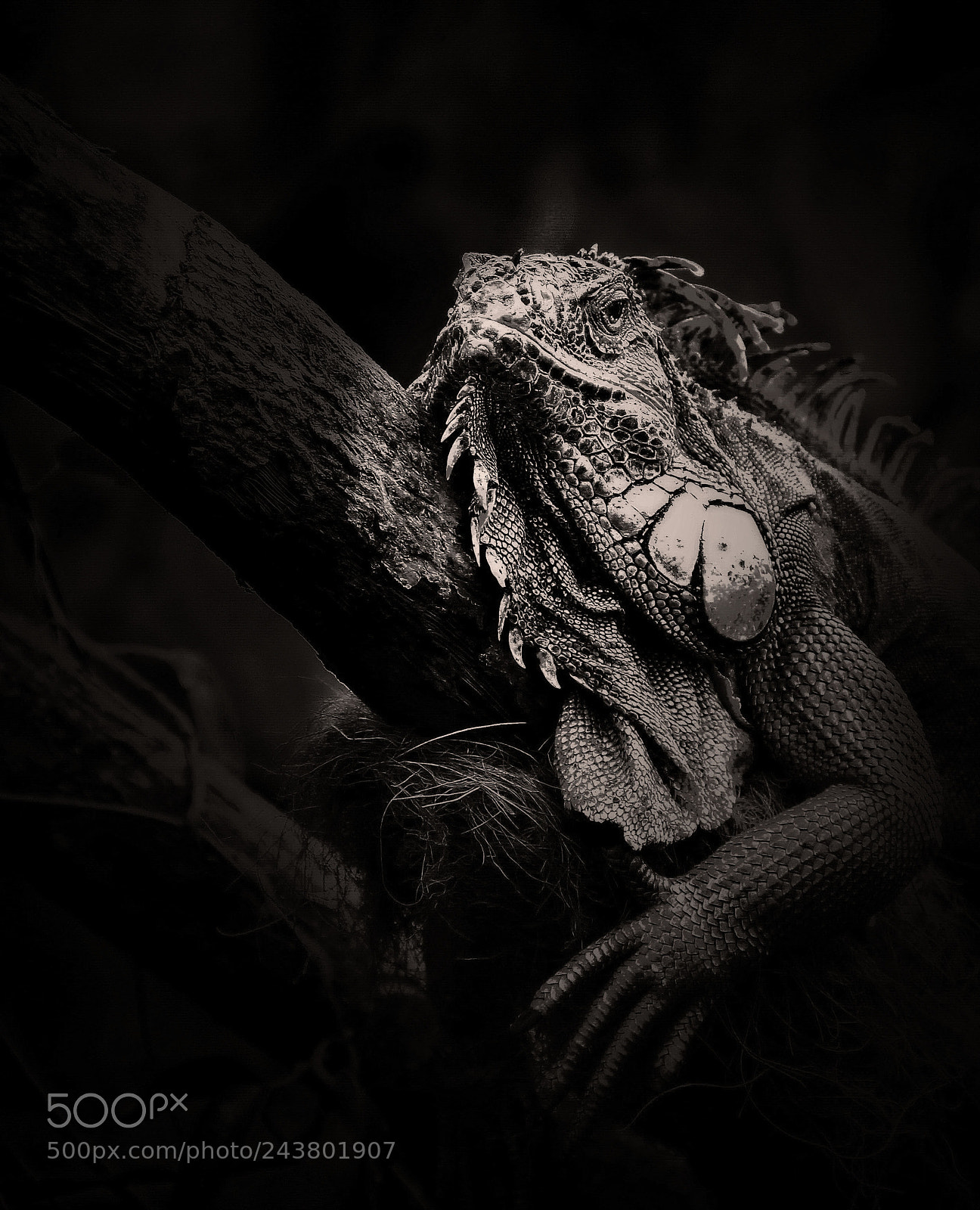 Canon EOS sample photo. Portrait) photography