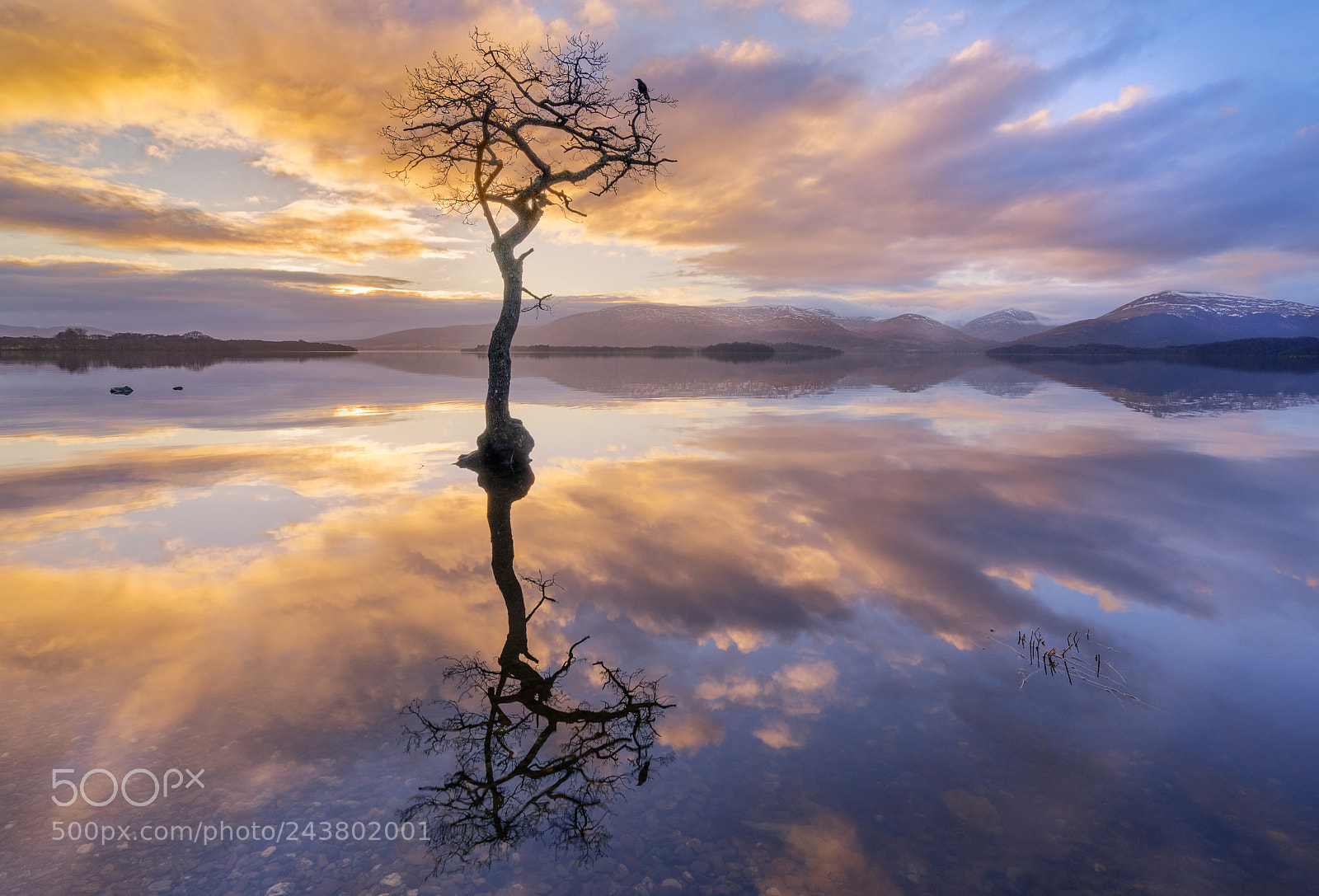 Sony a7R sample photo. Milarrochy bay loch lomond photography