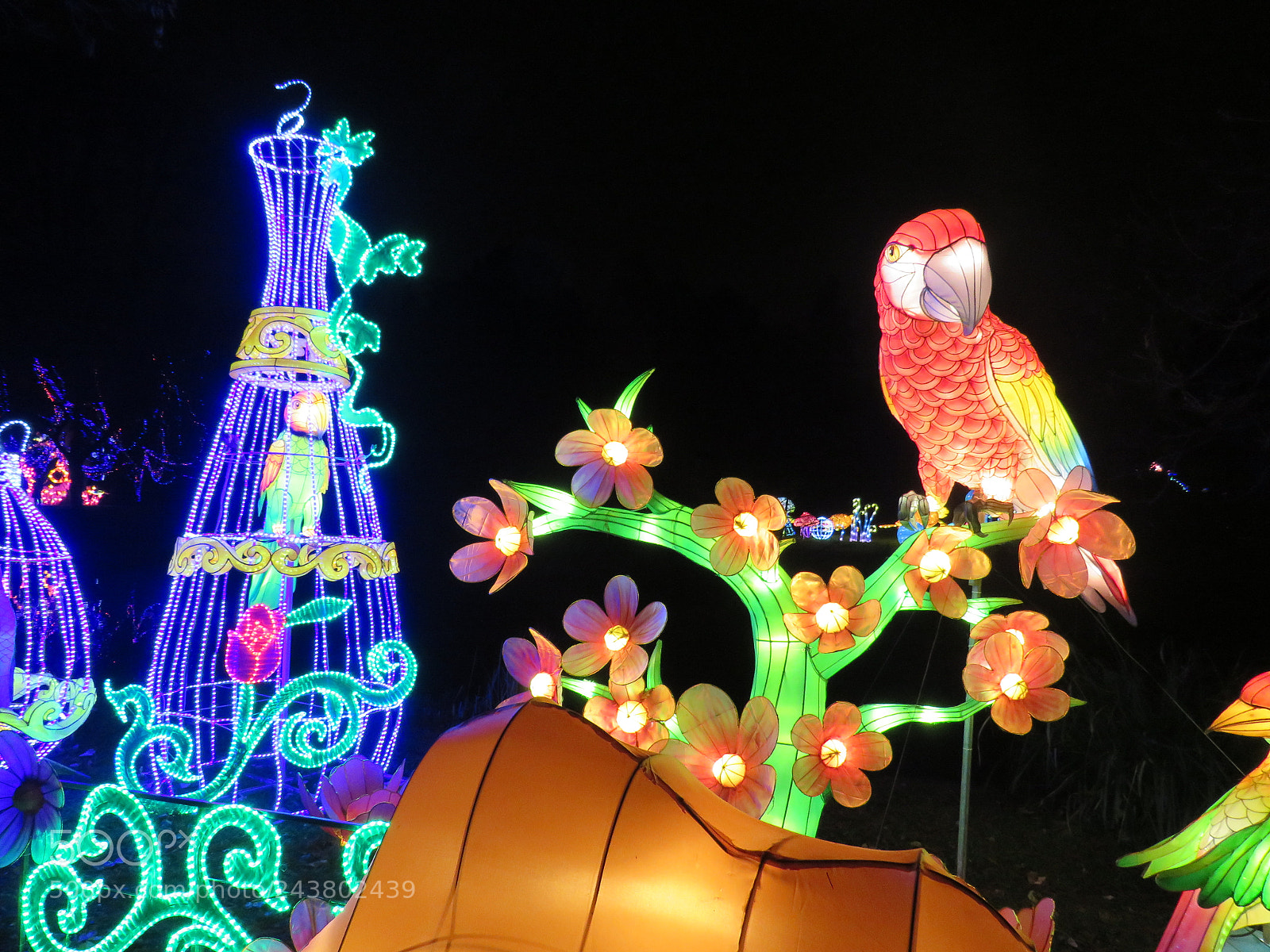 Canon PowerShot SX540 HS sample photo. Img photography