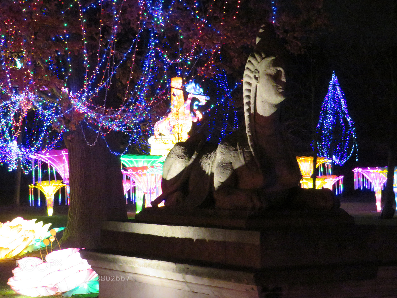 Canon PowerShot SX540 HS sample photo. Img photography