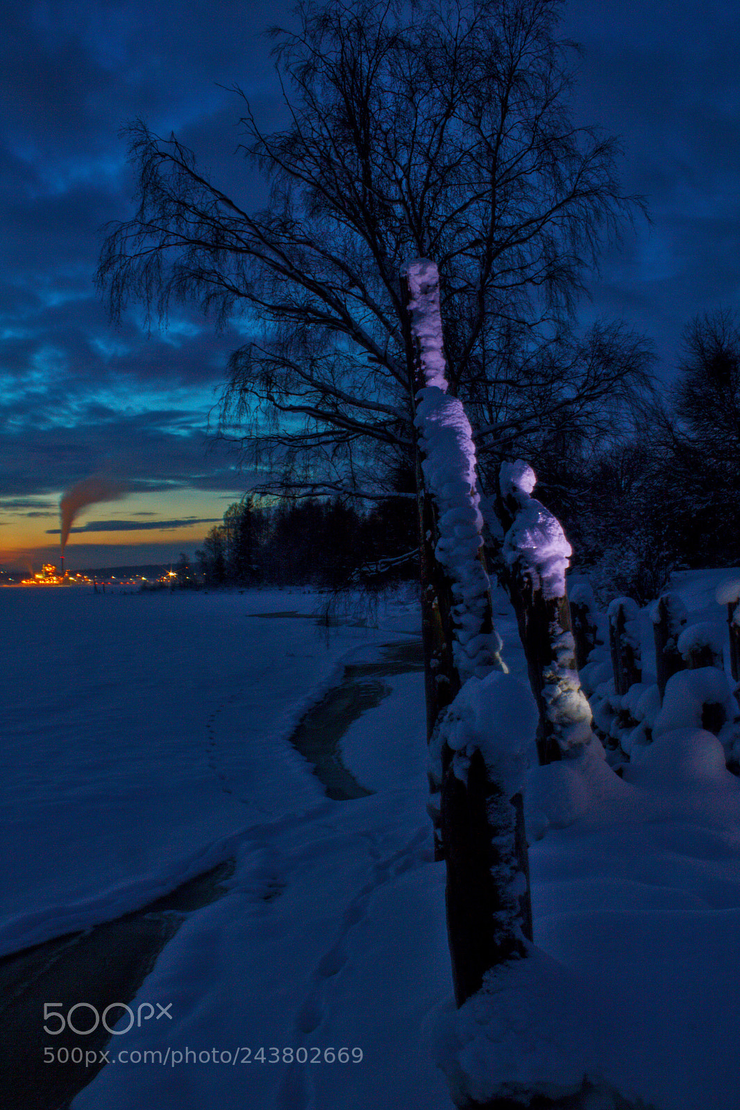 Canon EOS 550D (EOS Rebel T2i / EOS Kiss X4) sample photo. Winter evening at the photography
