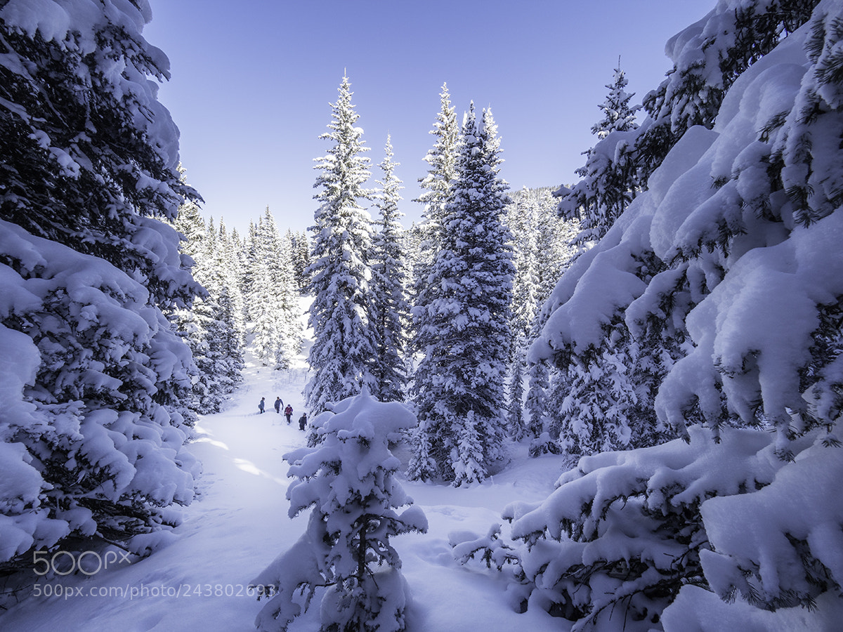 Olympus OM-D E-M1 Mark II sample photo. Snowshoeing through the san photography
