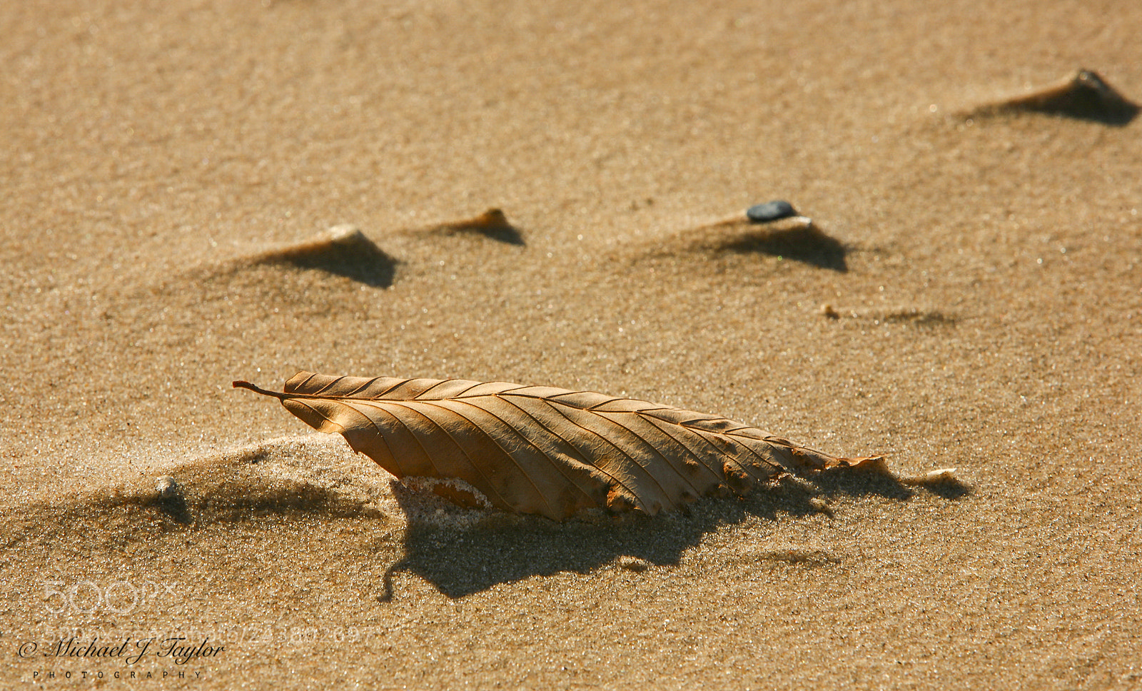 Canon EOS 5D sample photo. Beached... photography