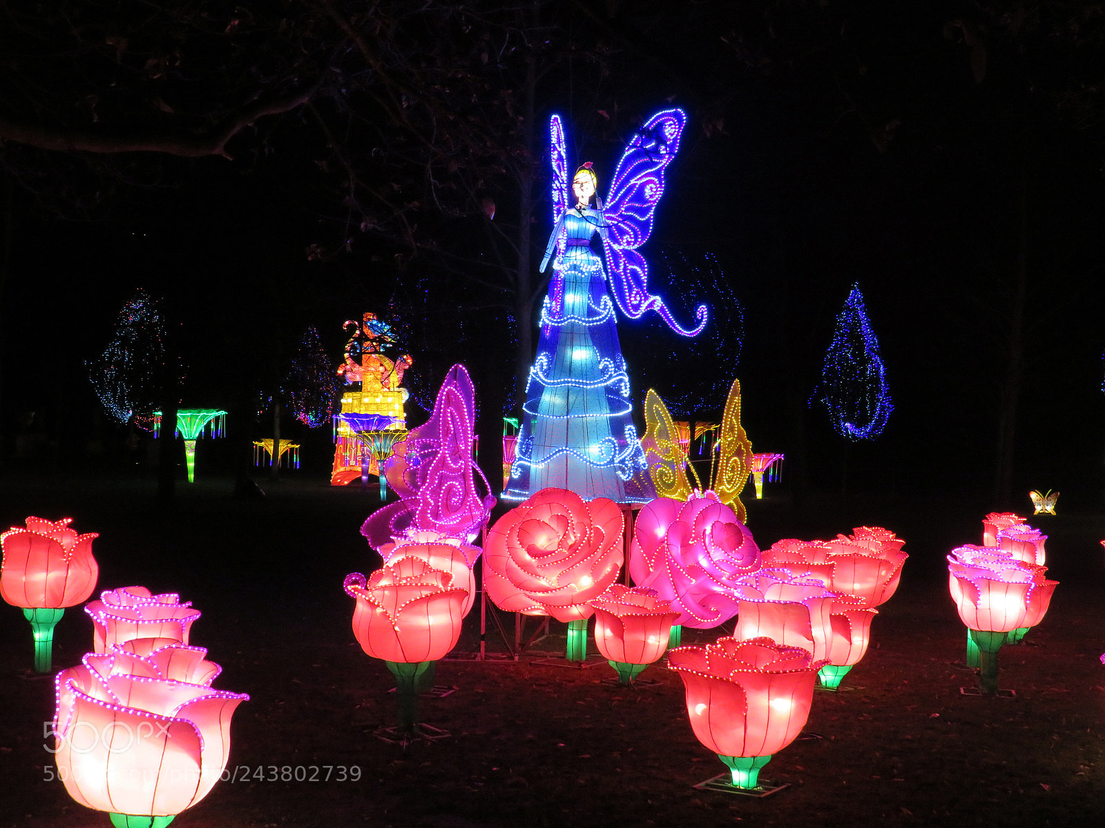 Canon PowerShot SX540 HS sample photo. Img photography