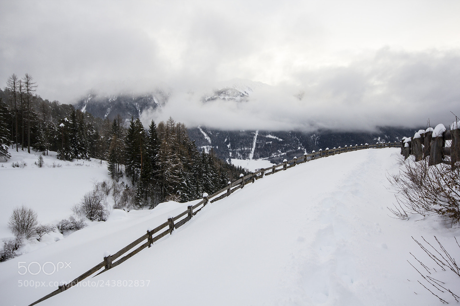 Canon EOS 60D sample photo. Snow photography