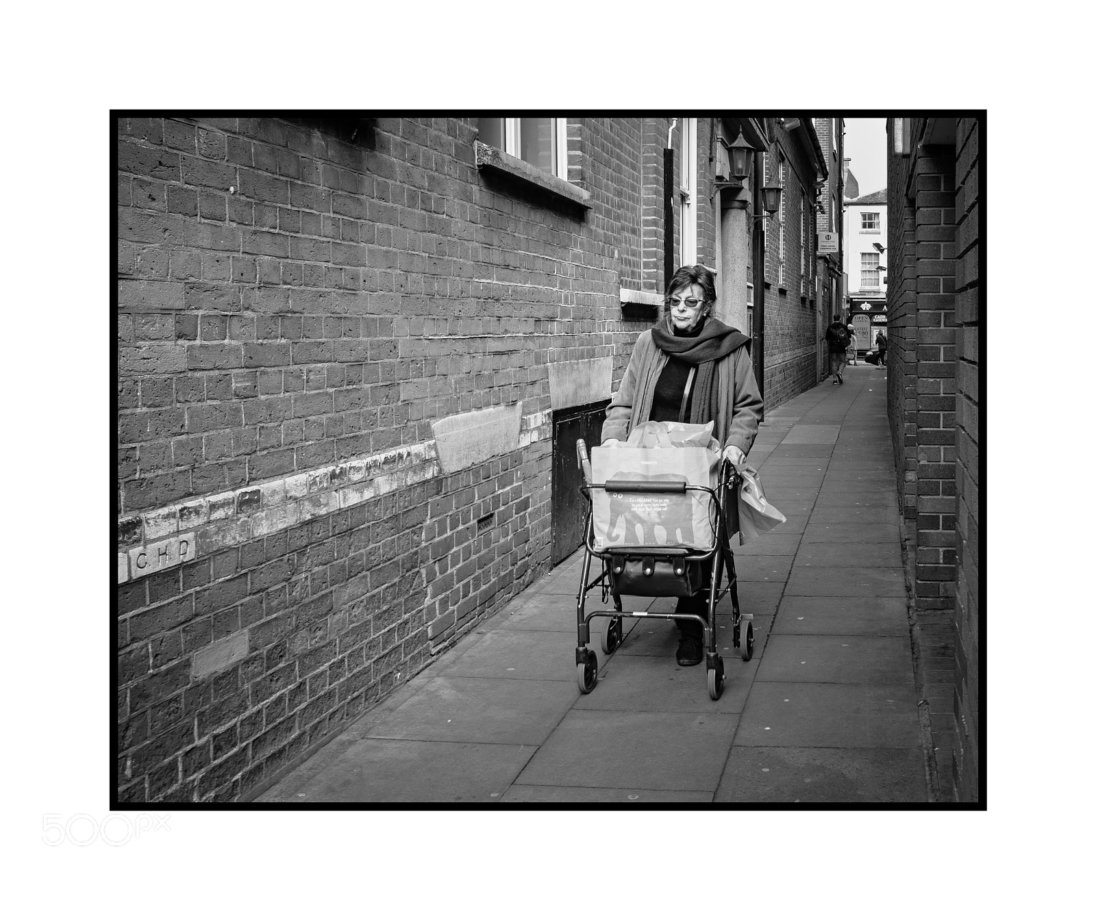 Fujifilm X-Pro2 sample photo. Pushing the elephant photography