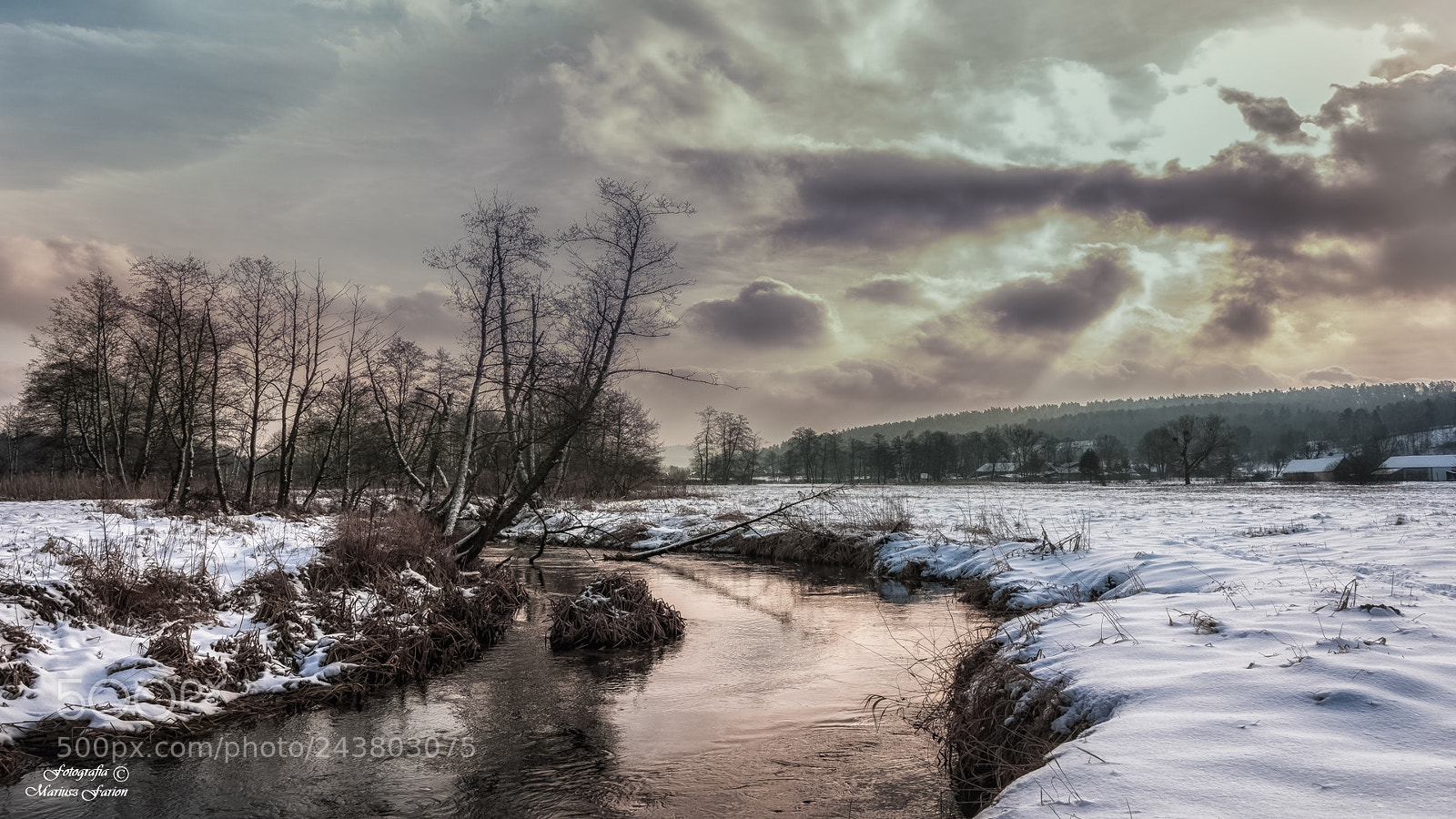 Nikon D7200 sample photo. Na roztoczu w guciowie photography