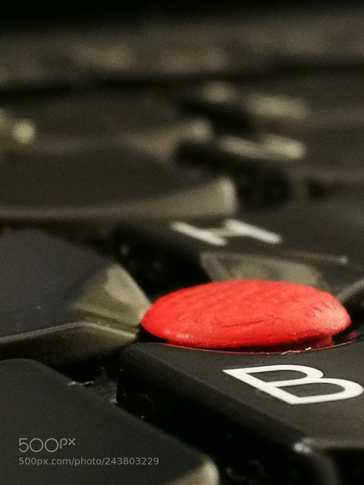 HUAWEI P10 sample photo. Little button photography