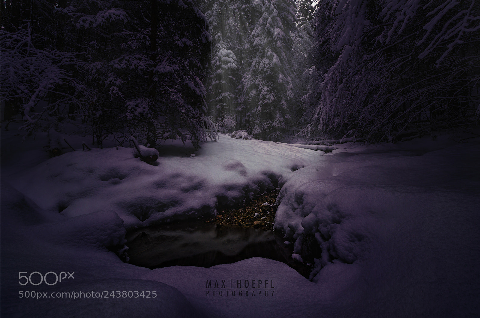 Nikon D5100 sample photo. Snowland photography