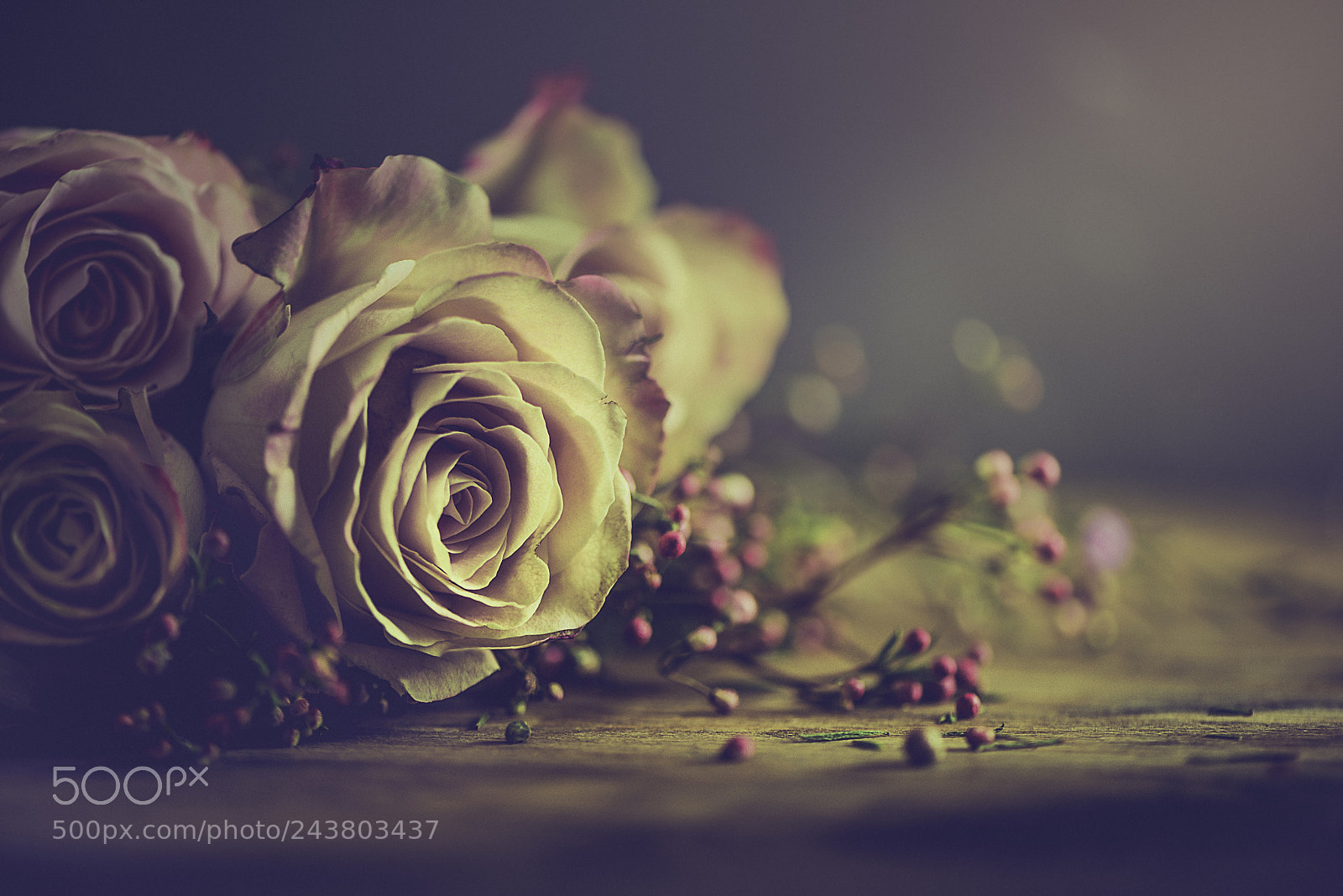 Nikon D600 sample photo. Roses are roses photography