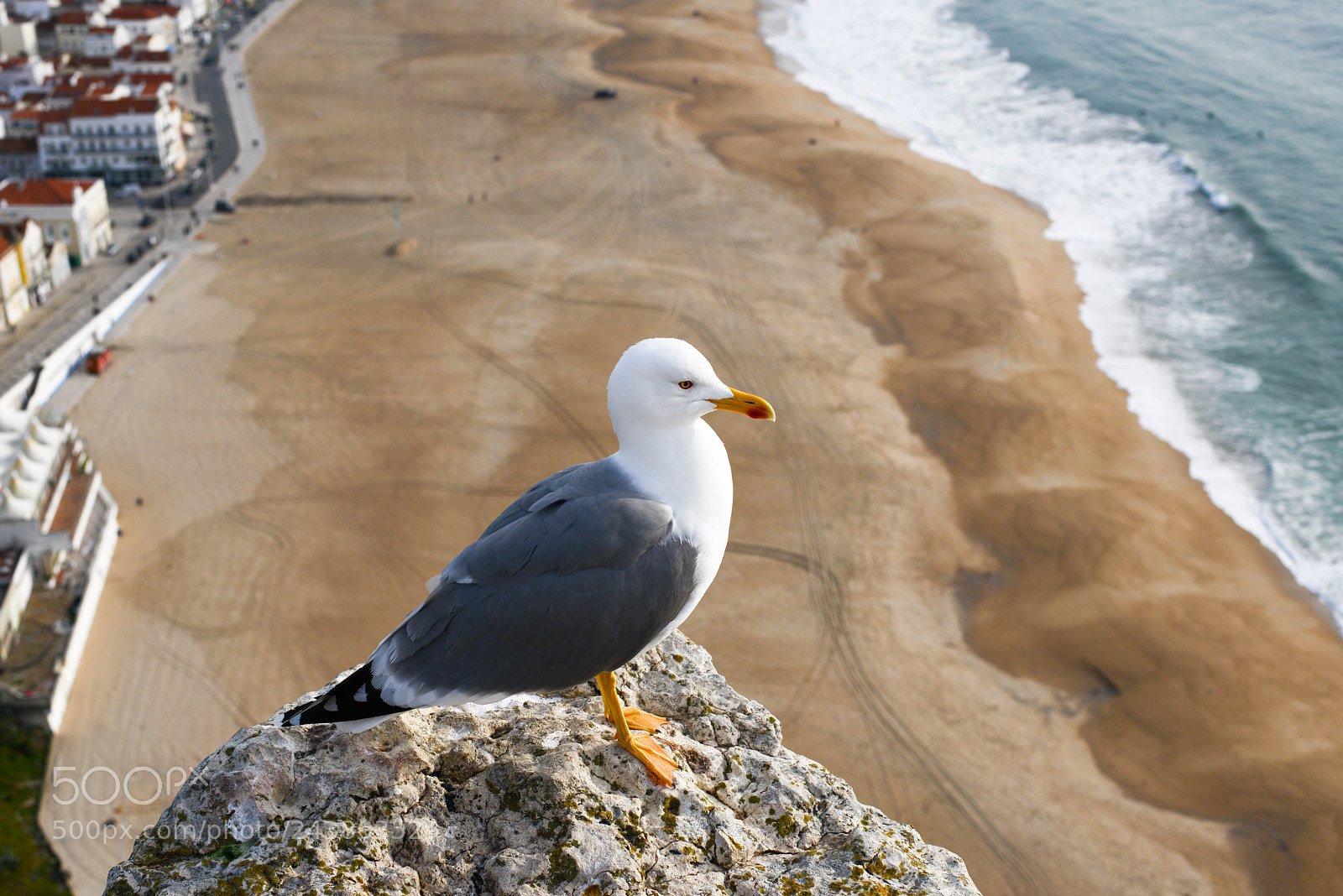 Nikon D800 sample photo. Nazare photography