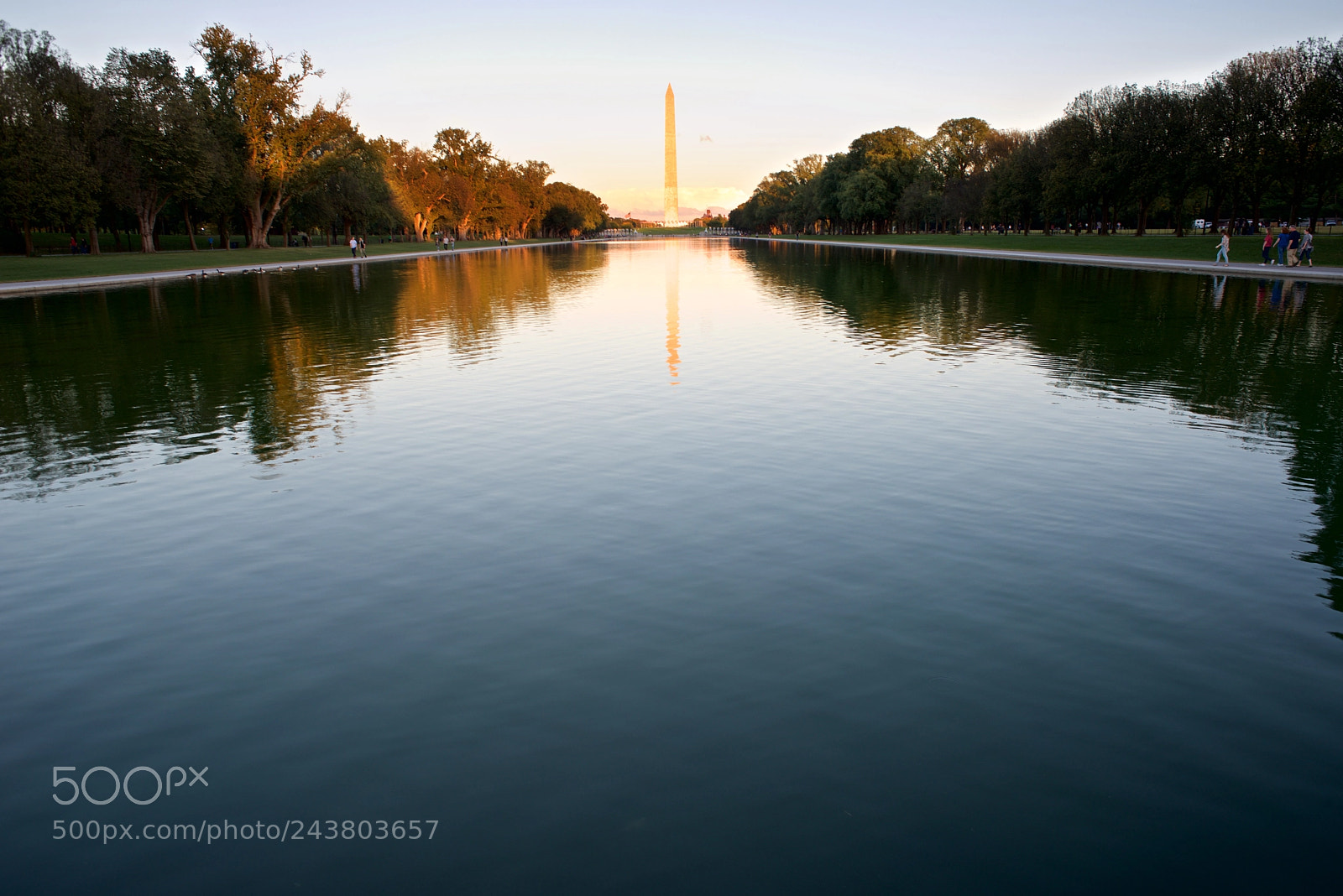 Nikon D610 sample photo. _6105820.jpg photography